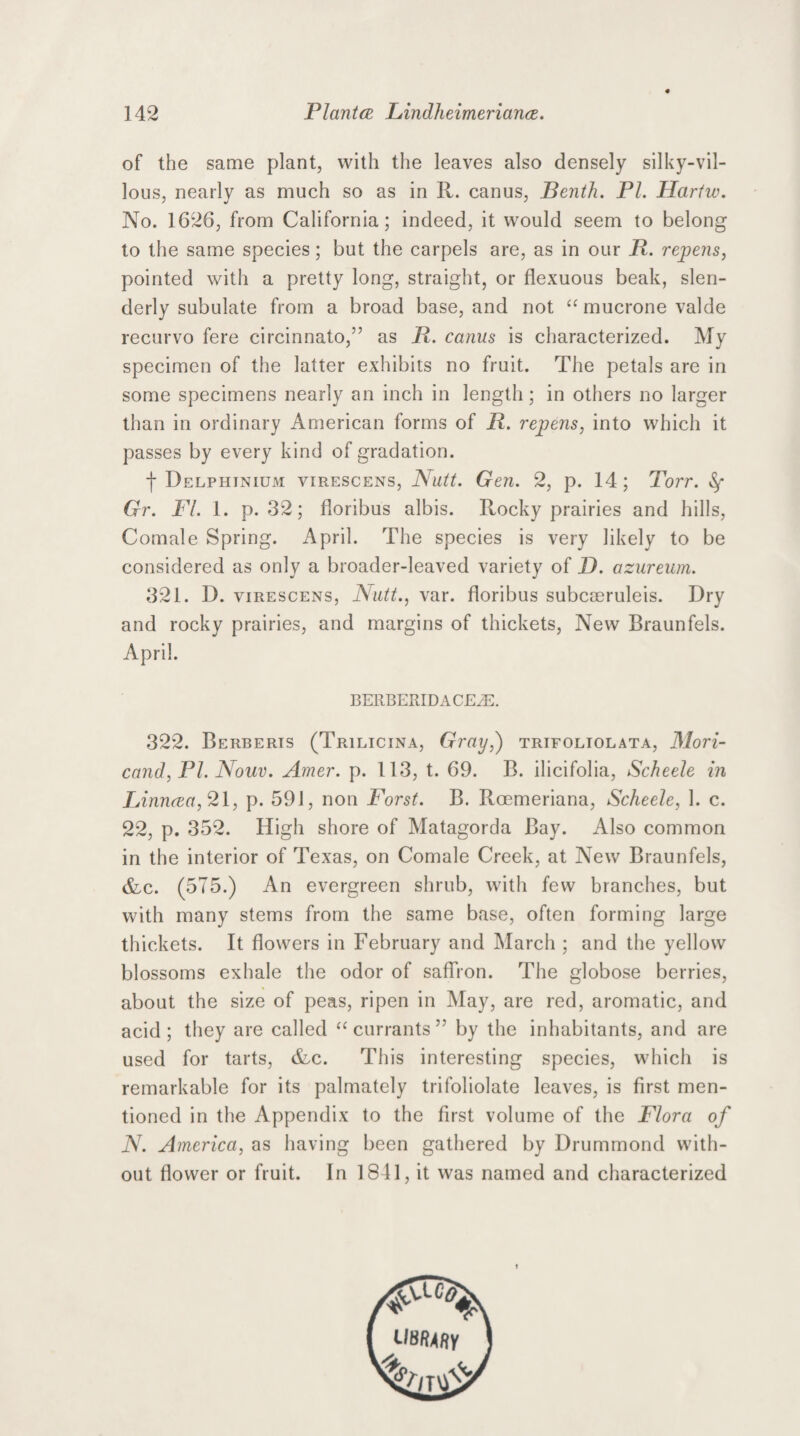 of the same plant, with the leaves also densely silky-vil¬ lous, nearly as much so as in R. canus, Benth. PI. Harfw. No. 1626, from California; indeed, it would seem to belong to the same species; but the carpels are, as in our R. repens, pointed with a pretty long, straight, or flexuous beak, slen¬ derly subulate from a broad base, and not “ mucrone valde recurvo fere circinnato,” as R. canus is characterized. My specimen of the latter exhibits no fruit. The petals are in some specimens nearly an inch in length; in others no larger than in ordinary American forms of R. repens, into which it passes by every kind of gradation. j- Delphinium virescens, Nutt. Gen. 2, p. 14; Torr. Gr. FI. 1. p. 32; floribus albis. Rocky prairies and hills, Comale Spring. April. The species is very likely to be considered as only a broader-leaved variety of D. azureum. 321. D. virescens, Nutt., var. floribus subcaeruleis. Dry and rocky prairies, and margins of thickets, New Braunfels. April. BERBERIDACEiE. 322. Berberis (Trilicina, Gray,') trifoliolata, Mori- cand, PL Nouv. Amer. p. 113, t. 69. B. ilicifolia, Scheele in Finncea, 21, p. 591, non Forst. B. Roemeriana, Scheele, 1. c. 22, p. 352. High shore of Matagorda Bay. Also common in the interior of Texas, on Comale Creek, at New Braunfels, &c. (575.) An evergreen shrub, with few branches, but with many stems from the same base, often forming large thickets. It flowers in February and March ; and the yellow blossoms exhale the odor of saffron. The globose berries, about the size of peas, ripen in May, are red, aromatic, and acid; they are called “ currants ” by the inhabitants, and are used for tarts, &c. This interesting species, which is remarkable for its palmately trifoliolate leaves, is first men¬ tioned in the Appendix to the first volume of the Flora of N. America, as having been gathered by Drummond with¬ out flower or fruit. In 1841, it was named and characterized IISRASV hlV