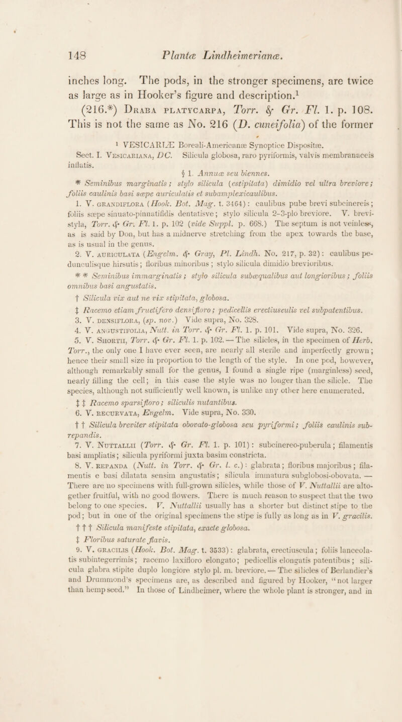 inches long. The pods, in the stronger specimens, are twice as large as in Hooker’s figure and description.1 (216.*) Draba platycarpa, Torr. Gr. FI. 1. p. 108. This is not the same as No. 216 (IX cuneifolia) of the former + 1 VESICARTvE Boreali-Americanae Synoptice Dispositae. Sect. I. Vesicariana, DC. Silicula globosa, raro pyriformis, valvis membranaceis inflatis. § 1. Annuce seu biennes. * Seminibus marginatis; stylo silicula (estipitata) dimidio vel ultra breviore; foliis caulinis basi scepe auriculatis et subamplexicaulibus. 1. V. grandiflora (Hook. Bot. Mag. t. 34G4): caulibus pube brevi subcinereis; foliis ssepe sinuato-pinnatifidis dentatisve; stylo silicula 2-3-plo breviore. V. brevi- styla, Torr. if* Gr. FI. 1. p. 102 (vide Suppl. p. 668.) The septum is not vein less, as is said by Don, but has a midnerve stretching from the apex towards the base, as is usual in the genus. 2. Y. auriculata (Engelm. <f* Gray, PI. Lindh. No. 217, p. 32): caulibus pe- dunculisque hirsutis; lloribus minoribus ; stylo silicula dimidio brevioribus. ** Seminibus immarginalis ; stylo silicula subcequaUbus aut longioribus ; foliis omnibus basi angustatis. t Silicula vix aut ne vix stipitata, globosa. t Racemo etiam fructifero densiforo; pedicellis erectiusculis vel sv.bpatcntibus. 3. y. densiflora, (sp. uov.) Vide supra, No. 328. 4. y. ANGUSTiFOLiA, Nutt, in Torr. if* Gr. FI. 1. p. 101. Vide supra, No. 326. 5. y. Shortii, Torr. if* Gr. FI. 1. p. 102. — The silicles, in the specimen of Herb. Torr., the only one I have ever seen, are nearly all sterile and imperfectly grown ; hence their small size in proportion to the length of the style. In one pod, however, although remarkably small for the genus, I found a single ripe (marginless) seed, nearly filling the cell; in this case the style was no longer than the silicle. The species, although not sufficiently well known, is unlike any other here enumerated. | | Racemo sparsiforo; siliculis nutantibus. 6. V. recurvata, Engelm. Vide supra, No. 330. tt Silicula breviter stipitata obovato-globosa seu pyriformi; foliis caulinis sub - repandis. 7. V. Nuttallii {Torr. if* Gr. FI. 1. p. 101): subcinereo-puberula; filamentis basi ampliatis; silicula pyriformi juxta basim constricta. 8. V. repanda {Nutt, in Torr. if* Gr. 1. c.): glabrata; floribus majoribus ; fila¬ mentis e basi dilatata sensim angustatis; silicula immatura subglobosi-obovata. —• There are no specimens with full-grown silicles, while those of V. Nuttallii are alto¬ gether fruitful, with no good flowers. There is much reason to suspect that the two belong to one species. V. Nuttallii usually has a shorter but distinct stipe to the pod; but in one of the original specimens the stipe is fully as long as in V. gracilis. 111 Silicula manifeste stipitata, exacte globosa. t Floribus saturate f avis. 9. V. gracilis {Hook. Bot. Alag. t. 3533): glabrata, erectiuscula; foliis lanceola- tis subintegerrimis; racemo laxifloro elongato; pedicellis elongatis patentibus ; sili¬ cula glabra stipite duplo longiore stylo pi. m. breviore. — The silicles of Berlandier's and Drummond’s specimens are, as described and figured by Hooker, “not larger than hemp seed.” In those of Lindheimer, where the whole plant is stronger, and in