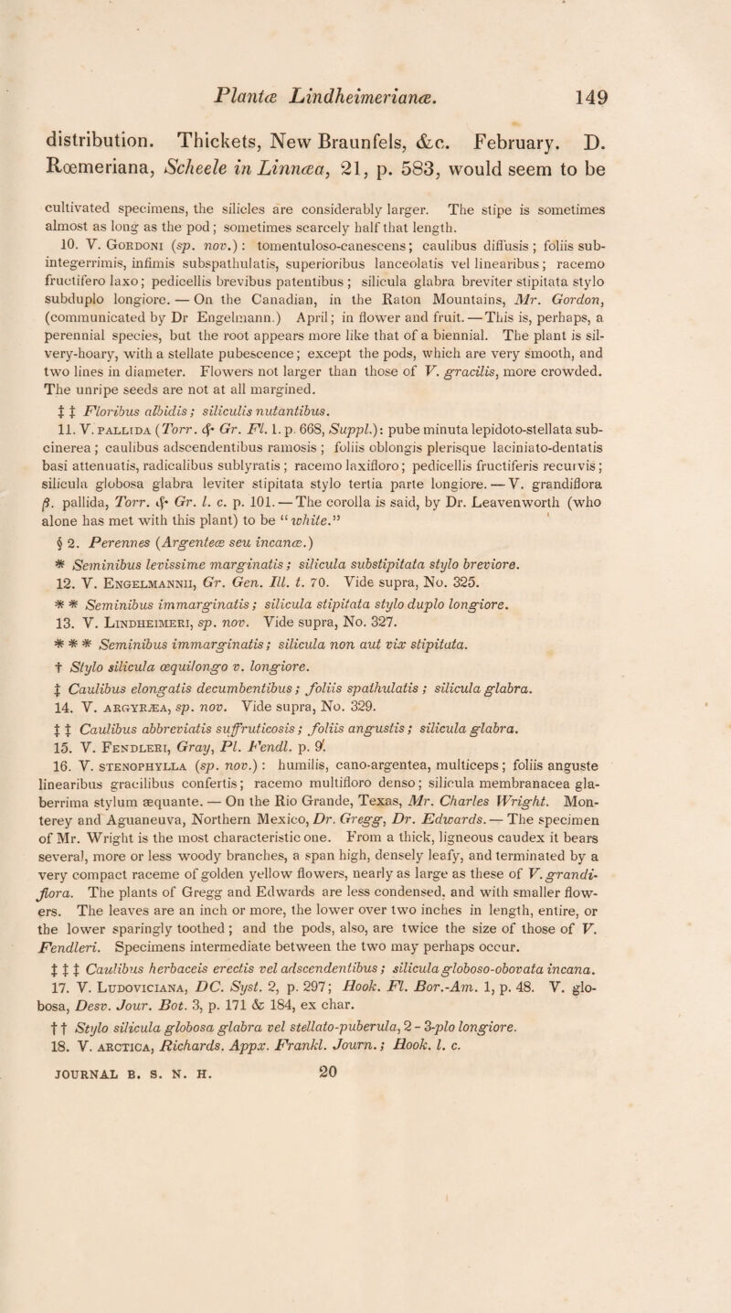 distribution. Thickets, New Braunfels, &c. February. D. Roemeriana, Scheele in Linncea, 21, p. 583, would seem to be cultivated specimens, the silicles are considerably larger. The stipe is sometimes almost as long as the pod; sometimes scarcely half that length. 10. V. Gordoni (sp. nov.): tomentuloso-canescens; caulibus diflusis ; foliis sub- integerrimis, infimis subspathulatis, superioribus lanceolatis vel linearibus; racemo fructifero laxo; pedicellis brevibus patentibus ; silicula glabra breviter stipitata stylo subduplo longiore. — On the Canadian, in the Raton Mountains, Mr. Gordon, (communicated by Dr Engelmann.) April; in flower and fruit.—This is, perhaps, a perennial species, but the root appears more like that of a biennial. The plant is sil¬ very-hoary, with a stellate pubescence; except the pods, which are very smooth, and two lines in diameter. Flowers not larger than those of V. gracilis, more crowded. The unripe seeds are not at all margined. t J Floribus alb id is; siliculis nutantibus. 11. V. pallida (Torr. cf- Gr. FI. 1. p. 668, Suppl.): pube minutalepidoto-stellata sub- cinerea ; caulibus adscendentibus ramosis ; foliis oblongis plerisque laciniato-dentatis basi attenuatis, radicalibns sublyratis ; racemo laxifloro; pedicellis fructiferis recurvis; silicula globo.sa glabra leviter stipitata stylo tertia parte longiore. — V. grandiflora fi. pallida, Torr. tf- Gr. 1. c. p. 101. — The corolla is said, by Dr. Leavenworth (who alone has met with this plant) to be “ichite.” § 2. Perennes (Argentece seu incanoe.) * Seminibus levissime marginatis; silicula substipitata stylo breviore. 12. Y. Engelmannii, Gr. Gen. III. t. 70. Vide supra, No. 325. * * Seminibus immarginatis ; silicula stipitata stylo duplo longiore. 13. V. Lindheimeri, sp. nov. Vide supra, No. 327. * * * Seminibus immarginatis; silicula non aut vix stipitata. t Stylo silicula cequilongo v. longiore. $ Caulibus elongatis decumbentibus; foliis spathulatis ; silicula glabra. 14. Y. argyr^ea, sp. nov. Vide supra, No. 329. $ X Caulibus abbreviatis suffruticosis ; foliis angustis ; silicula glabra. 15. Y. Fendleri, Gray, PI. Fendl. p. 91. 16. Y. stenophylla (sp. nov.): humilis, cano-argentea, multiceps; foliis anguste linearibus gracilibus confertis; racemo multifloro denso; silicula membranacea gla- berrima stylum sequante. — On the Rio Grande, Texas, Mr. Charles Wright. Mon¬ terey and Aguaneuva, Northern Mexico, Dr. Gregg, Dr. Edwards. — The specimen of Mr. Wright is the most characteristic one. From a thick, ligneous caudex it bears several, more or less woody branches, a span high, densely leafy, and terminated by a very compact raceme of golden yellow flowers, nearly as large as these of V.grandi- fora. The plants of Gregg and Edwards are less condensed, and with smaller flow¬ ers. The leaves are an inch or more, the lower over two inches in length, entire, or the lower sparingly toothed ; and the pods, also, are twice the size of those of V. Fendleri. Specimens intermediate between the two may perhaps occur. $ | f Caulibus herbaceis ereclis vel adscendentibus; siliculagloboso-obovata incana. 17. V. Ludoviciana, DC. Syst. 2, p. 297; Hook. FI. Bor.-Am. 1, p. 48. V. glo- bosa, Desv. Jour. Bot. 3, p. 171 & 184, ex char. 11 Stylo silicula globosa glabra vel stellato-puberula, 2 - 3-plo longiore. 18. V. arctica, Richards. Appx. Frankl. Journ.; Hook. 1. c. JOURNAL B. S. N. H. 20 I