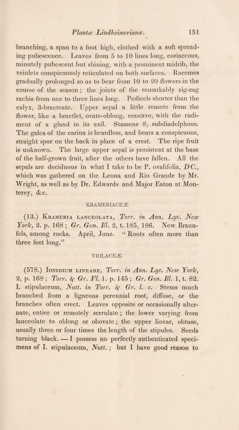 branching, a span to a foot high, clothed with a soft spread¬ ing pubescence. Leaves from 5 to 10 lines long, coriaceous, minutely pubescent but shining, with a prominent midrib, the veinlets conspicuously reticulated on both surfaces. Racemes gradually prolonged so as to bear from 10 to 20 flowers in the course of the season ; the joints of the remarkably zig-zag rachis from one to three lines long. Pedicels shorter than the calyx, 3-bracteate. Upper sepal a little remote from the flower, like a bractlet, ovate-oblong, concave, with the rudi¬ ment of a gland in its axil. Stamens 8, subdiadelphous. The galea of the carina is beardless, and bears a conspicuous, straight spur on the back in place of a crest. The ripe fruit is unknown. The large upper sepal is persistent at the base of the half-grown fruit, after the others have fallen. All the sepals are deciduous in what I take to be P. ovalifolia, DC., which was gathered on the Leona and Rio Grande by Mr. Wright, as well as by Dr. Edwards and Major Eaton at Mon¬ terey, &c. KRAMERIACEiE. (13.) Krameria lanceolata, Torr. in Ann. Lyc. New York, 2. p. 168 ; Gr. Gen. 111. 2, t. 185, 186. New Braun¬ fels, among rocks. April, June. “ Roots often more than three feet long.” VIOLACEAE. (578.) Ionidium line are, Torr. in Ann. Lyc. New York, 2, p. 168 ; Torr. fy Gr. FL 1. p. 145 ; Gr. Gen. 111. 1, t. 82. I. stipulaceum, Nutt, in Torr. 8f Gr. 1. c. Stems much branched from a ligneous perennial root, diffuse, or the branches often erect. Leaves opposite or occasionally alter¬ nate, entire or remotely serrulate ; the lower varying from lanceolate to oblong or obovate; the upper linear, obtuse, usually three or four times the length of the stipules. Seeds turning black. — I possess no perfectly authenticated speci¬ mens of I. stipulaceum, Nutt.; but I have good reason to