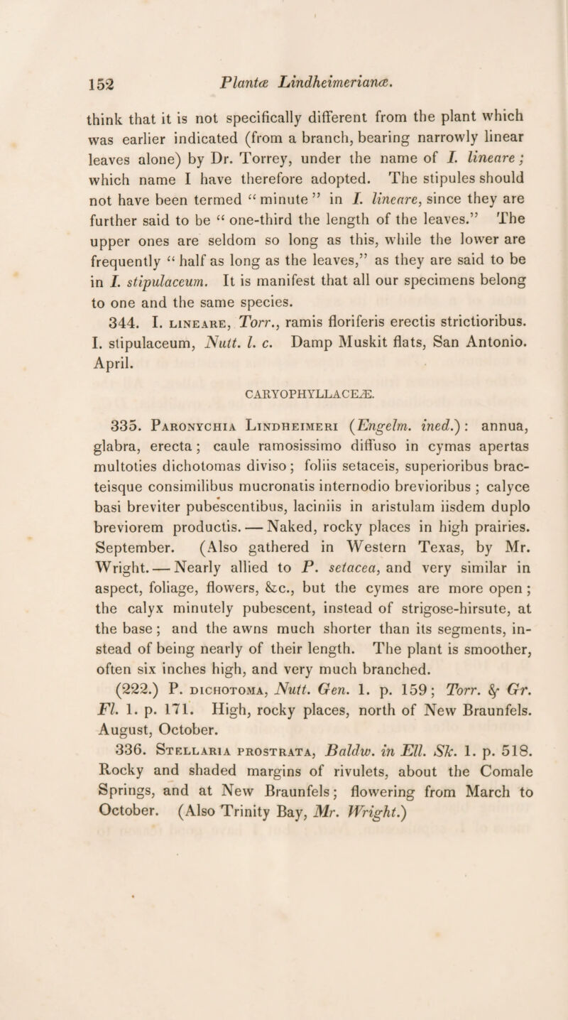 think that it is not specifically different from the plant which was earlier indicated (from a branch, bearing narrowly linear leaves alone) by Dr. Torrey, under the name of I. lineare; which name I have therefore adopted. The stipules should not have been termed “ minute ” in I. lineare, since they are further said to be “ one-third the length of the leaves.” The upper ones are seldom so long as this, while the lower are frequently “ half as long as the leaves,” as they are said to be in I. stipulaceum. It is manifest that all our specimens belong to one and the same species. 344. I. lineare, Torr., ramis floriferis erectis strictioribus. I. stipulaceum, Nutt. I. c. Damp Muskit flats, San Antonio. April. CARYOPH YLLACEyE. 335. Paronychia Lindheimeri (Engelm. ined.') : annua, glabra, erecta; caule ramosissimo diffuso in cymas apertas multoties dichotomas diviso; foliis setaceis, superioribus brac- teisque consimilibus mucronatis internodio brevioribus ; calyce basi breviter pubescentibus, laciniis in aristulam iisdem duplo breviorem productis. — Naked, rocky places in high prairies. September. (Also gathered in Western Texas, by Mr. Wright. — Nearly allied to P. setacea, and very similar in aspect, foliage, flowers, &c., but the cymes are more open ; the calyx minutely pubescent, instead of strigose-hirsute, at the base ; and the awns much shorter than its segments, in¬ stead of being nearly of their length. The plant is smoother, often six inches high, and very much branched. (222.) P. dichotoma, Nutt. Gen. 1. p. 159; Torr. fy Gr. FI. 1. p. 171. High, rocky places, north of New Braunfels. August, October. 336. Stellaria prostrata, Baldw. in Ell. Sk. 1. p. 518. Rocky and shaded margins of rivulets, about the Comale Springs, and at New Braunfels; flowering from March to October. (Also Trinity Bay, Mr. Wright.)