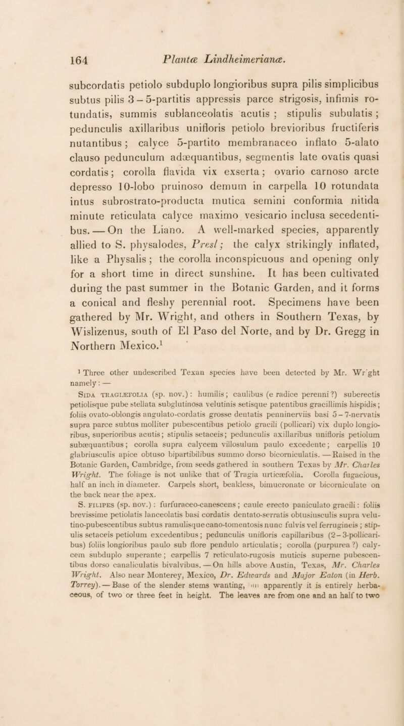 subcordatis petiolo subduplo Iongioribus supra pilis simplicibus subtus pilis 3-5-partitis appressis parce strigosis, infimis ro- tundatis, summis sublanceolatis acutis ; stipulis subulatis ; pedunculis axillaribus unifloris petiolo brevioribus fructiferis nutantibus; calyce 5-partito membranaceo inflato 5-alato clauso pedunculum adsequantibus, segmentis late ovatis quasi cordatis; corolla flavida vix exserta; ovario carnoso arete depresso 10-lobo pruinoso demum in carpella 10 rotundata intus subrostrato-producta mutica semini conformia nitida minute reticulata calyce maximo vesicario inclusa secedenti- bus.— On the Liano. A well-marked species, apparently allied to S. physalodes, Presl; the calyx strikingly inflated, like a Physalis ; the corolla inconspicuous and opening only for a short time in direct sunshine. It has been cultivated during the past summer in the Botanic Garden, and it forms a conical and fleshy perennial root. Specimens have been gathered by Mr. Wright, and others in Southern Texas, by Wislizenus, south of El Paso del Norte, and by Dr. Gregg in Northern Mexico.1 1 Three other undescribed Texan species have been detected by Mr. Wr'ght namely: — Sida TRAGiiEFOLiA (sp. uov.): humilis ; caulibus (e radice perenni ?) suberectis petiolisque pube stellata subglutinosa velutinis setisque patentibus gracillimis hispidis; foliis ovato-oblongis angulato-cordatis grosse dentatis penninerviis basi 5-7-nervatis supra parce subtus molliter pubescentibus petiolo gracili (pollicari) vix duplo longio- ribus, superioribus acutis; stipulis setaceis; pedunculis axillaribus unifloris petiolum subasquantibus; corolla supra calyeem villosulum paulo excedente; carpellis 10 glabriusculis apice obtuso bipartibilibus summo dorso bicorniculatis. —Raised in the Botanic Garden, Cambridge, from seeds gathered in southern Texas by Mr. Charles Wright. The foliage is not unlike that of Tragia urticsefolia. Corolla fugacious, half an inch in diameter. Carpels short, beakless, bimucronate or bicorniculate on the back near the apex. S. filipes (sp. nov.): furfuraceo-canescens; caule erecto paniculato gracili: foliis brevissime petiolatis lanceolatis basi cordatis dentato-serratis oblusiusculis supra velu- tino-pubescentibus subtus ramulisquecano-tomentosis nunc fulvis vel ferrugineis ; stip¬ ulis setaceis petiolum excedenlibus; pedunculis unifloris capillaribus (2-3-pollicari- bus) foliis Iongioribus paulo sub flore pendulo articulatis; corolla (purpurea ?) caly- cem subduplo superante ; carpellis 7 reticulato-rugosis muticis superne pubescen¬ tibus dorso canaliculatis bivalvibus. — On hills above Austin, Texas, Mr. Charles Wright. Also near Monterey, Mexico, Dr. Edwards and Major Eaton (in Herb. Torrey). — Base of the slender sterns wanting, *m apparently it is entirely herba¬ ceous, of two or three feet in height. The leaves are from one and an half to two
