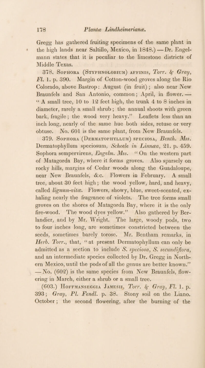 Gregg has gathered fruiting specimens of the same plant in the high lands near Saltillo, Mexico, in 1848.)—Dr. Engel- mann states that it is peculiar to the limestone districts of Middle Texas. 378. Sophora (Styphnolobium) affinis, Torr. fy Gray, FI. 1. p. 390. Margin of Cotton-wood groves along the Rio Colorado, above Bastrop: August (in fruit) ; also near New Braunfels and San Antonio, common; April, in flower. — “ A small tree, 10 to 12 feet high, the trunk 4 to 8 inches in diameter, rarely a small shrub ; the annual shoots with green bark, fragile; the wood very heavy.5’ Leaflets less than an inch long, nearly of the same hue both sides, retuse or very obtuse. No. 601 is the same plant, from New Braunfels. 379. Sophora (Dermatophyllum) speciosa, Benth. Mss. Dermatophyllum speciosum, Scheele in Linncea, 21. p. 459. Sophora sempervirens, Engelm. Mss. u On the western part of Matagorda Bay, where it forms groves. Also sparsely on rocky hills, margins of Cedar woods along the Guadaloupe, near New Braunfels, &c. Flowers in February. A small tree, about 30 feet high ; the wood yellow, hard, and heavy, called lignum-vitce. Flowers, showy, blue, sweet-scented, ex¬ haling nearly the fragrance of violets. The tree forms small groves on the shores of Matagorda Bay, where it is the only fire-wood. The wood dyes yellow.” Also gathered by Ber- landier, and by Mr. Wright. The large, woody pods, two to four inches long, are sometimes constricted between the seeds, sometimes barely torose. Mr. Bentham remarks, in Herb. Torr., that, “ at present Dermatophyllum can only be admitted as a section to include S. speciosa, S. secundijiora, and an intermediate species collected by Dr. Gregg in North¬ ern Mexico, until the pods of all the genus are better known.” — No. (602) is the same species from New Braunfels, flow¬ ering in March, either a shrub or a small tree. (603.) Hoffmanseggia Jamesii, Torr. fy Gray, FI. 1. p. 393; Gray, PI. Fendl. p. 38. Stony soil on the Liano. October; the second flowering, after the burning of the