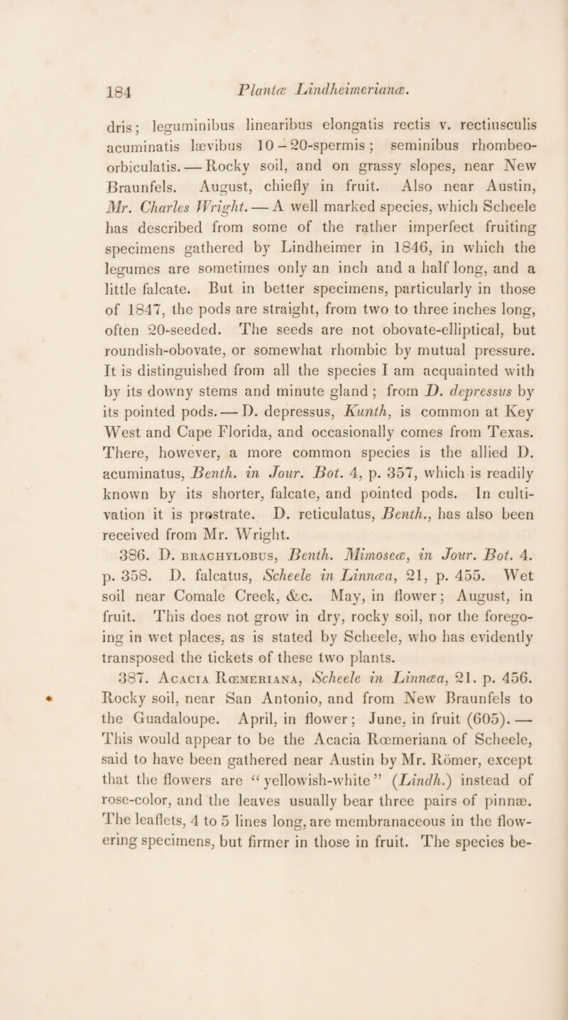 dris; leguminibus linearibus elongatis rectis v. rectinsculis acuminatis laevibus 10 - 20-spermis ; seminibus rhombeo- orbiculatis. — Rocky soil, and on grassy slopes, near New Braunfels. August, chiefly in fruit. Also near Austin, Mr. Charles Wright. — A well marked species, which Scheele has described from some of the rather imperfect fruiting specimens gathered by Lindheimer in 1846, in which the legumes are sometimes only an inch and a half long, and a little falcate. Rut in better specimens, particularly in those of 1847, the pods are straight, from two to three inches long, often 20-seeded. The seeds are not obovate-elliptical, but roundish-obovate, or somewhat rhombic by mutual pressure. It is distinguished from all the species I am acquainted with by its downy stems and minute gland ; from D. depresses by its pointed pods. — D. depressus, Kunth, is common at Key West and Cape Florida, and occasionally comes from Texas. There, however, a more common species is the allied D. acuminatus, Benth. in Jour. Bot. 4, p. 357, which is readily known by its shorter, falcate, and pointed pods. In culti¬ vation it is prostrate. D. reticulatus, Benth., has also been received from Mr. Wright. 386. D. brachylobus, Benth. Mimosece, in Jour. Bot. 4. p. 358. D. falcatus, Scheele in Linncca, 21, p. 455. Wet soil near Comale Creek, &c. May, in flower; August, in fruit. This does not grow in dry, rocky soil, nor the forego¬ ing in wet places, as is stated by Scheele, who has evidently transposed the tickets of these two plants. 387. Acacia Rcemeriana, Scheele in Linncea, 21. p. 456. Rocky soil, near San Antonio, and from New Braunfels to the Guadaloupe. April, in flower; June, in fruit (605).— This would appear to be the Acacia Rcemeriana of Scheele, said to have been gathered near Austin by Mr. Romer, except that the flowers are “ yellowish-white ” (IAndh.) instead of rose-color, and the leaves usually bear three pairs of pinnae. The leaflets, 4 to 5 lines long, are membranaceous in the flow¬ ering specimens, but firmer in those in fruit. The species be-