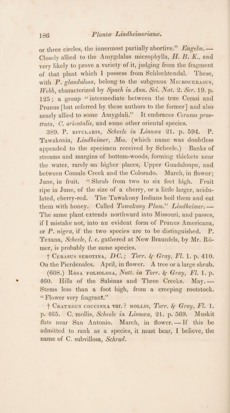 or three circles, the innermost partially abortive.” Engelm. — Closely allied to the Amygdalus microphylla, H. B. K., and very likely to prove a variety of it, judging from the fragment of that plant which I possess from Schlechtendal. These, with P. glandulosa, belong to the subgenus Microcerasus, Webb, characterized by Spach in Ann. Sci. Nat. 2. Ser. 19. p. 125; a group “intermediate between the true Cerasi and Prunus [but referred by these authors to the former] and also nearly allied to some Amygdali.” It embraces Cerasus pros- trata, C. orientalis, and some other oriental species. 389. P. rivularis, Scheele in Linncea 21. p. 594. P. Tawakonia, Lindheimer, Mss. (which name was doubtless appended to the specimen received by Scheele.) Banks of streams and margins of bottom-woods, forming thickets near the water, rarely on higher places, Upper Guadaloupe, and between Comale Creek and the Colorado. March, in flower; June, in fruit. “Shrub from two to six feet high. Fruit ripe in June, of the size of a cherry, or a little larger, acidu¬ lated, cherry-red. The Tawakony Indians boil them and eat them with honey. Called Tawakony Plump Lindheimer.— The same plant extends northward into Missouri, and passes, if I mistake not, into an evident form of Prunus Americana, or P. nigra, if the two species are to be distinguished. P. Texana, Scheele, l. c. gathered at New Braunfels, by Mr. Ro- mer, is probably the same species. f Cerasus serotina, DC.; Torr. Gray, FI. 1. p. 410. On the Pierdenales. April, in flower. A tree or a large shrub. (608.) Rosa foliolosa, Nutt, in Torr. fy Gray, FI. 1. p. 460. Hills of the Sabinas and Three Creeks. May.— Stems less than a foot high, from a creeping rootstock. “ Flower very fragrant.” f Cratjegus coccinea var. ? mollis, Torr. &f Gray, FI. 1. p. 465. C. mollis, Scheele in Linncea, 21. p. 569. Muskit flats near San Antonio. March, in flower. — If this be admitted to rank as a species, it must bear, I believe, the name of C. subvillosa, Schrad.