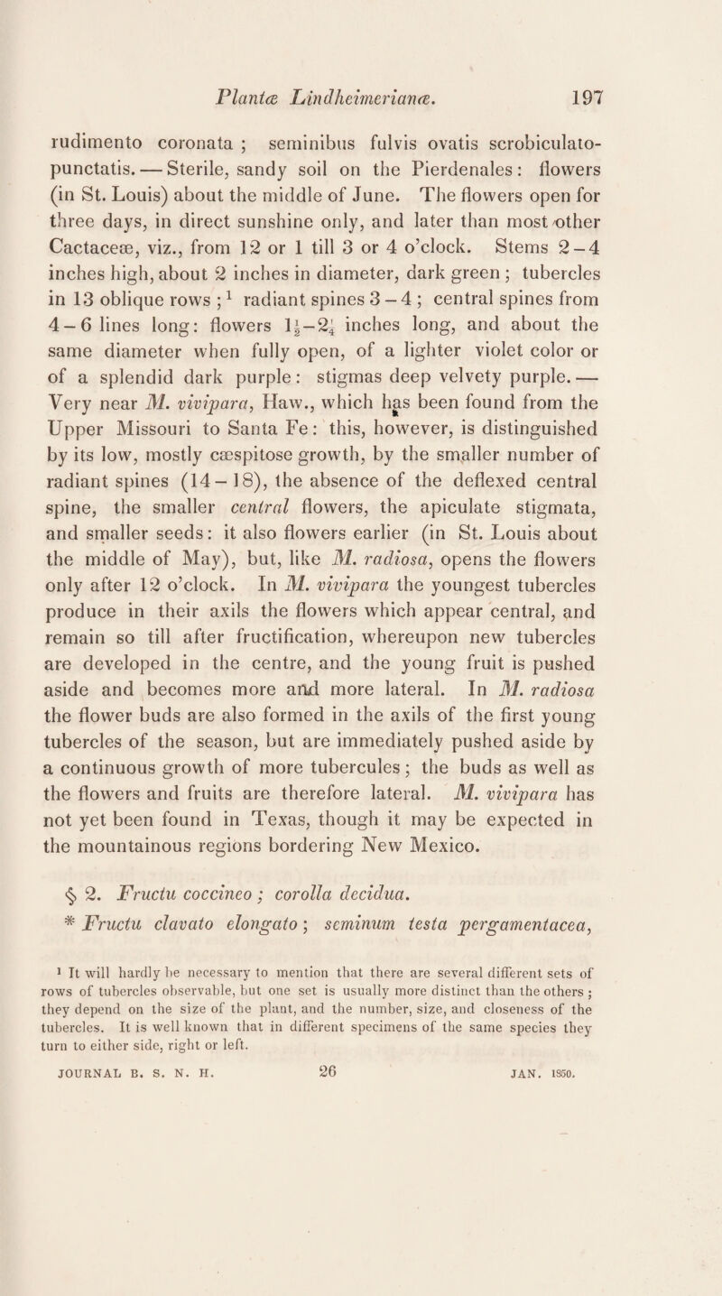 rudimento coronata ; seminibus fulvis ovatis scrobiculato- punctatis. — Sterile, sandy soil on the Pierdenales: flowers (in St. Louis) about the middle of June. The flowers open for three days, in direct sunshine only, and later than most other Cactacem, viz., from 1*2 or 1 till 3 or 4 o’clock. Stems 2-4 inches high, about 2 inches in diameter, dark green ; tubercles in 13 oblique rows ;1 radiant spines 3 - 4 ; central spines from 4-6 lines long: flowers 1|-2| inches long, and about the same diameter when fully open, of a lighter violet color or of a splendid dark purple: stigmas deep velvety purple. — Very near M. vivipara, Haw., which has been found from the Upper Missouri to Santa Fe: this, however, is distinguished by its low, mostly csespitose growth, by the smaller number of radiant spines (14- 18), the absence of the deflexed central spine, the smaller central flowers, the apiculate stigmata, and smaller seeds: it also flowers earlier (in St. Louis about the middle of May), but, like M. radiosa, opens the flowers only after 12 o’clock. In M. vivipara the youngest tubercles produce in their axils the flowers which appear central, and remain so till after fructification, whereupon new tubercles are developed in the centre, and the young fruit is pushed aside and becomes more and more lateral. In M. radiosa the flower buds are also formed in the axils of the first young tubercles of the season, but are immediately pushed aside by a continuous growth of more tubercules; the buds as well as the flowers and fruits are therefore lateral. M. vivipara has not yet been found in Texas, though it may be expected in the mountainous regions bordering New Mexico. § 2. Fructu coccineo ; corolla decidua. * Fructu clavato elongato ; seminum testa p erg ament ace a, 1 It will hardly be necessary to mention that there are several different sets of rows of tubercles observable, but one set is usually more distinct than the others ; they depend on the size of the plant, and the number, size, and closeness of the tubercles. It is well known that in different specimens of the same species they turn to either side, right or left. JOURNAL B. S. N. H. 26 JAN. 1S50.