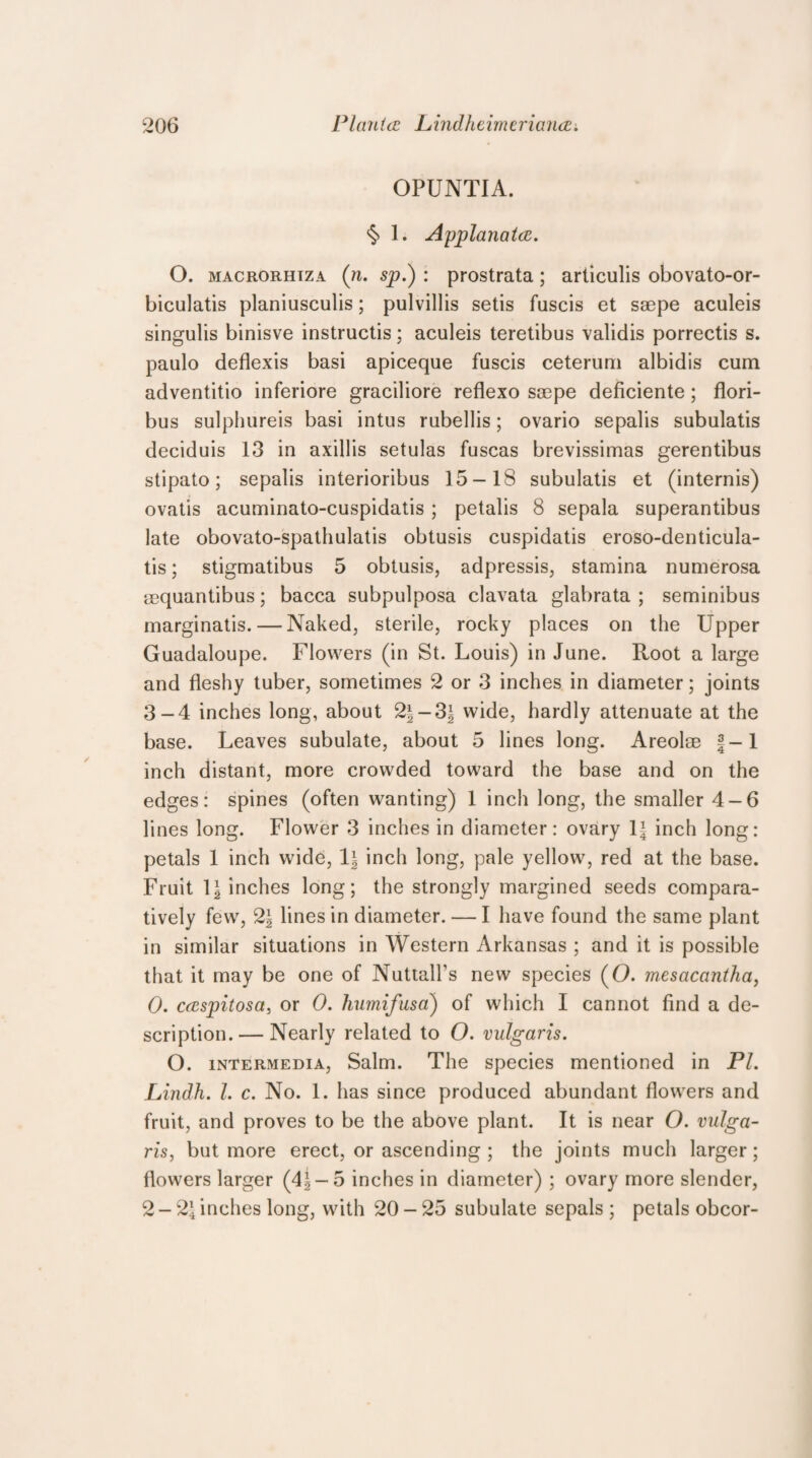 OPUNTIA. $ 1. Applanatce. O. macrorhtza (n. sp.) : prostrata; articulis obovato-or- biculatis planiusculis; pulvillis setis fuscis et ssepe aculeis singulis binisve instructis; aculeis teretibus validis porrectis s. paulo deflexis basi apiceque fuscis ceterum albidis cum adventitio inferiore graciliore reflexo saepe deficiente; flori- bus sulphureis basi intus rubellis; ovario sepalis subulatis deciduis 13 in axillis setulas fuscas brevissimas gerentibus stipato; sepalis interioribus 15-18 subulatis et (internis) ovatis acuminato-cuspidatis ; petalis 8 sepala superantibus late obovato-spathulatis obtusis cuspidatis eroso-denticula- tis; stigmatibus 5 obtusis, adpressis, stamina numerosa mquantibus; bacca subpulposa clavata glabrata ; seminibus marginatis. — Naked, sterile, rocky places on the Upper Guadaloupe. Flowers (in St. Louis) in June. Root a large and fleshy tuber, sometimes 2 or 3 inches in diameter; joints 3-4 inches long, about 2|-3^ wide, hardly attenuate at the base. Leaves subulate, about 5 lines long. Areolae f-1 inch distant, more crowded toward the base and on the edges: spines (often wanting) 1 inch long, the smaller 4-6 lines long. Flower 3 inches in diameter: ovary 1| inch long: petals 1 inch wide, 1\ inch long, pale yellow, red at the base. Fruit \\ inches long; the strongly margined seeds compara¬ tively few, lines in diameter. — I have found the same plant in similar situations in Western Arkansas ; and it is possible that it may be one of Nuttalfs new species (O. mesacantha, 0. ccespitosa, or 0. humifusa') of which I cannot find a de¬ scription.— Nearly related to O. vulgaris. O. intermedia, Salm. The species mentioned in Pl. Lindh. 1. c. No. 1. has since produced abundant flowers and fruit, and proves to be the above plant. It is near O. vulga¬ ris, but more erect, or ascending ; the joints much larger; flowers larger (4|-5 inches in diameter) ; ovary more slender, 2-2* inches long, with 20 - 25 subulate sepals ; petals obcor-