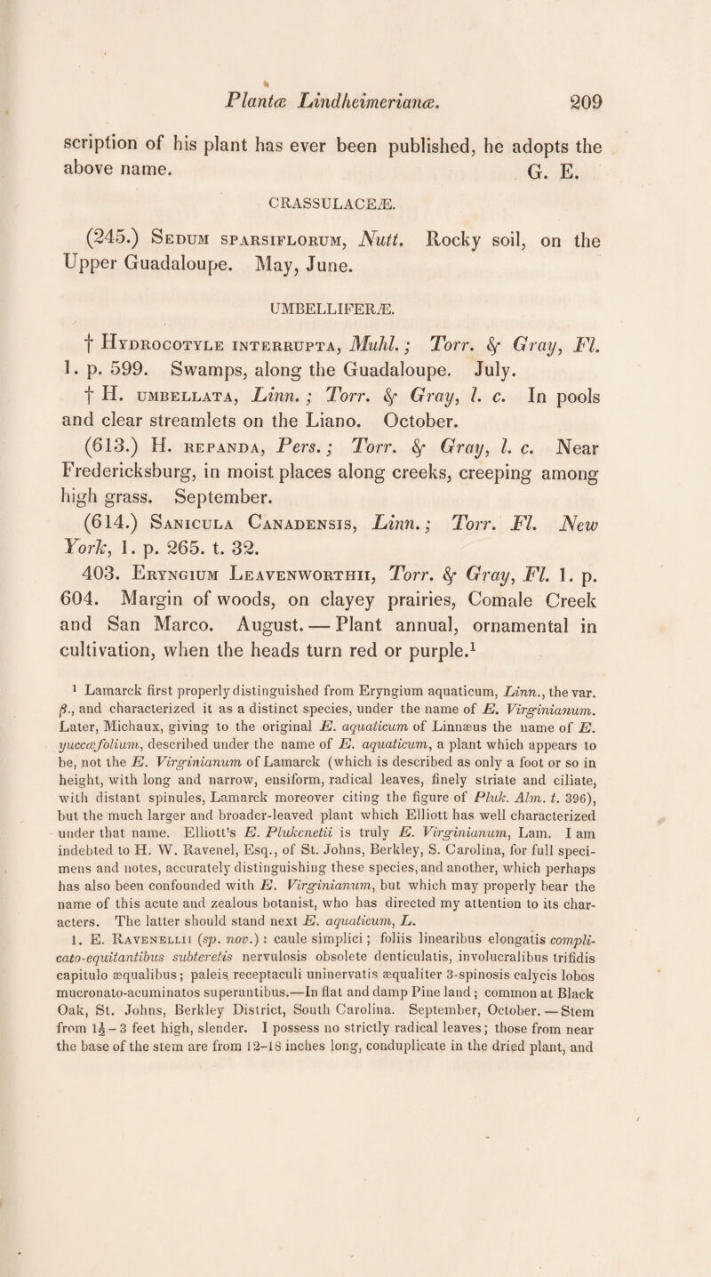 scription of his plant has ever been published, he adopts the above name. G. E. CRASSULACEJE. (245.) Sedum sparsiflorum, Nutt. Rocky soil, on the Upper Guadaloupe. May, June. UMBELLIFERiE. f Hydrocotyle interrupta, Muhl.; Torr. Gray, PL 1. p. 599. Swamps, along the Guadaloupe. July. t H. umbellata, Linn. ; Torr. Sf Gray, 1. c. In pools and clear streamlets on the Liano. October. (613.) H. repanda, Pers.; Torr. fy Gray, 1. c. Near Fredericksburg, in moist places along creeks, creeping among high grass. September. (614.) Sanicula Canadensis, Linn.; Torr. FI. New York, 1. p. 265. t. 32. 403. Eryngium Leavenworthii, Torr. fy Gray, FI. 1. p. 604. Margin of woods, on clayey prairies, Comale Creek and San Marco. August. — Plant annual, ornamental in cultivation, when the heads turn red or purple.1 1 Lamarck first properly distinguished from Eryngium aquaticum, Linn., the var. /?., and characterized it as a distinct species, under the name of E. Virginianum. Later, Michaux, giving to the original E. aquaticum of Linnaeus the name of E. yucccefolium, described under the name of E. aquaticum, a plant which appears to be, not the E. Virginianum of Lamarck (which is described as only a foot or so in height, with long and narrow, ensiform, radical leaves, finely striate and ciliate, with distant spinules, Lamarck moreover citing the figure of Pluk. Aim. t. 396), but the much larger and broader-leaved plant which Elliott has well characterized under that name. Elliott’s E. Plukenetii is truly E. Virginianum, Lam. I am indebted to H. W. Ravenel, Esq., of St. Johns, Berkley, S. Carolina, for full speci¬ mens and notes, accurately distinguishing these species, and another, which perhaps has also been confounded with E. Virginianum, but which may properly bear the name of this acute and zealous botanist, who has directed my attention to its char¬ acters. The latter should stand next E. aquaticum, L. 1. E. Ravenellii (sp.nov.): caule simplici; foliis linearibus elongatis compli- cato-equitantibus subteretis nervulosis obsolete denticulatis, involucralibus trifidis capitulo sequalibus; paleis receptaculi uninervatis aequaliter 3-spinosis calycis lobos mucronato-acuminatos superantibus.—In flat and damp Pine land; common at Black Oak, St. Johns, Berkley District, South Carolina. September, October.—Stem from 1^-3 feet high, slender. I possess no strictly radical leaves; those from near the base of the stem are from 12-18 inches long, conduplicate in the dried plant, and