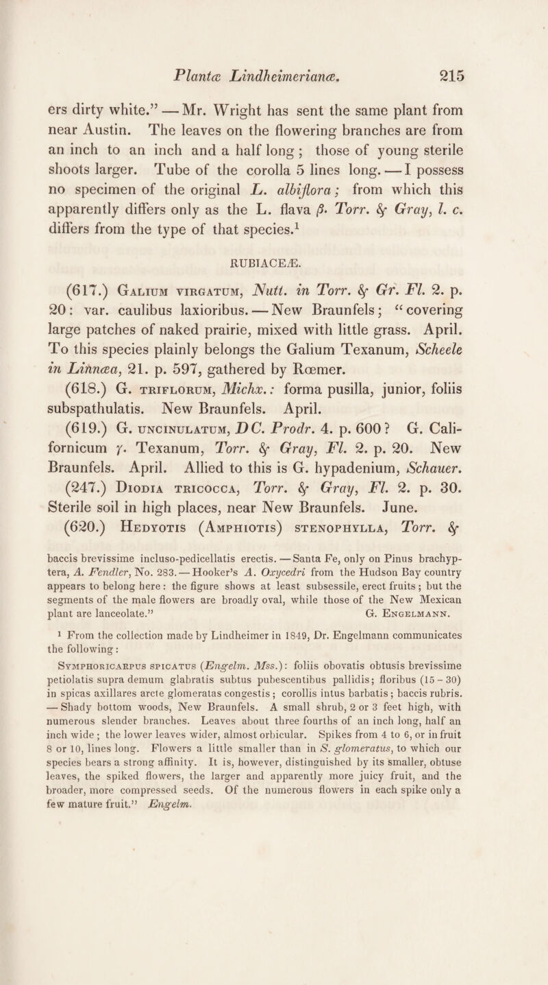 ers dirty white.” -—Mr. Wright has sent the same plant from near Austin. The leaves on the flowering branches are from an inch to an inch and a half long ; those of young sterile shoots larger. Tube of the corolla 5 lines long. — I possess no specimen of the original L. albijlora; from which this apparently differs only as the L. flava /?. Torr. &y Gray, I. c. differs from the type of that species.1 * * * * * * 8 RUBIACEtE. (617.) Galium virgatum, Nutt, in Torr. fy Gr. FI. 2. p. 20: var. caulibus laxioribus. — New Braunfels; “ covering large patches of naked prairie, mixed with little grass. April. To this species plainly belongs the Galium Texanum, Scheele in Linncea, 21. p. 597, gathered by Roemcr. (618.) G. triflorum, Michx.: forma pusilla, junior, foliis subspathulatis. New Braunfels. April. (619.) G. uncinulatum, DC. Prodr. 4. p. 600? G. Cali- fornicum y. Texanum, Torr. fy Gray, FI. 2. p. 20. New Braunfels. April. Allied to this is G. hypadenium, Schauer. (247.) Diodia tricocca, Torr. fy Gray, FI. 2. p. 30. Sterile soil in high places, near New Braunfels. June. (620.) Hedyotis (Amphiotis) stenophylla, Torr. fy baccis brevissime incluso-pedicellatis erectis.—Santa Fe, only on Pinus brachyp- tera, A. Fendler, No. 283.—-Hooker’s A. Oxycedri from the Hudson Bay country appears to belong here : the figure shows at least subsessile, erect fruits ; but the segments of the male flowers are broadly oval, while those of the New Mexican plant are lanceolate.” G. Engelmann. 1 From the collection made by Lindheimer in 1849, Dr. Engelmann communicates the following: Symphoricarpus spicatus (Engelm. Mss.): foliis obovatis obtusis brevissime petiolatis supra demum glabratis subtus pubescentibus pallidis; floribus (15 - 30) in spicas axillares arcle glomeratas congestis ; corollis intus barbatis ; baccis rubris. — Shady bottom woods, New Braunfels. A small shrub, 2 or 3 feet high, with numerous slender branches. Leaves about three fourths of an inch long, half an inch wide ; the lower leaves wider, almost orbicular. Spikes from 4 to 6, or in fruit 8 or 10, lines long. Flowers a little smaller than in S. glomeratus, to which our species bears a strong affinity. It is, however, distinguished by its smaller, obtuse leaves, the spiked flowers, the larger and apparently more juicy fruit, and the broader, more compressed seeds. Of the numerous flowers in each spike only a few mature fruit.” Engelm.
