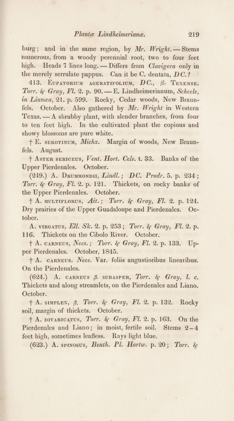 burg; and in the same region, by Mr. Wright. — Stems numerous, from a woody perennial root, two to four feet high. Heads 7 lines long. — Differs from Clavigera only in the merely serrulate pappus. Can it be C. dentata, DC. I 413. Eupatorium ageratifolium, DC., fi. Texense. Torr. Gray, FI. 2. p. 90.—E. Lindheimerianum, Scheele, in Linncea, 21. p. 599. Rocky, Cedar woods, New Braun¬ fels. October. Also gathered by Mr. Wright in Western Texas. — A shrubby plant, with slender branches, from four to ten feet high. In the cultivated plant the copious and showy blossoms are pure white. f E. serotinum, Michx. Margin of woods, New Braun¬ fels. August. f Aster sericeus, Vent. Hort. Cels. t. 33. Banks of the Upper Pierdenales. October. (249.) A. Drummondii, Lindl.; DC. Prodr. 5. p. 234; Torr. Gray, FI. 2. p. 121. Thickets, on rocky banks of the Upper Pierdenales. October. f A. multiflorus, Ait.; Torr. &f Gray, FI. 2. p. 124. Dry prairies of the Upper Guadaloupe and Pierdenales. Oc¬ tober. A. virgatus, Ell. Sk. 2. p. 253; Torr. Gray, FI. 2. p. 116. Thickets on the Cibolo River. October. f A. carneus, Nees.; Torr. fy Gray, FI. 2. p. 133. Up¬ per Pierdenales. October, 1845. f A. carneus. Nees. Var. foliis angustioribus linearibus. On the Pierdenales. (624.) A. carneus g subasper, Torr. Gray, l. c. Thickets and along streamlets, on the Pierdenales and Liano. October. f A. simplex, ft, Torr. fy Gray, FI. 2. p. 132. Rocky soil, margin of thickets. October. | A. divaricatus, Torr. Gray, FI. 2. p. 163. On the Pierdenales and Liano; in moist, fertile soil. Stems 2-4 feet high, sometimes leafless. Rays light blue. (623.) A. spinosus, Benth. PI. Hartw. p. 20; Torr. fy