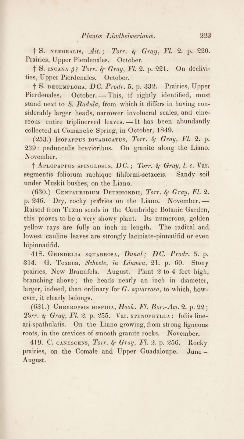 f S. nemoralis, Ait.; Torr. fy Gray, FI. 2. p. 220. Prairies, Upper Pierdenales. October. f S. incana p? Torr. Gray, FI. 2. p. 221. On declivi¬ ties, Upper Pierdenales. October. t S. decemflora, DC. Prodr. 5. p. 332. Prairies, Upper Pierdenales. October. — This, if rightly identified, must stand next to S. Radula, from which it differs in having con¬ siderably larger heads, narrower involucral scales, and cine¬ reous entire triplinerved leaves.-—It has been abundantly collected at Comanche Spring, in October, 1849. (253.) Isopappus divaricatus, Torr. &f Gray, FI. 2. p. 239: pedunculis brevioribus. On granite along the Liano. November. f Aplopappus spinulosus, DC.; Torr. &f Gray, l. c. Var. segmentis foliorum rachique filiformi-setaceis. Sandy soil under Muskit bushes, on the Liano. (630.) Centauridium Drummondii, Torr. Gray, FI. 2. p.246. Dry, rocky prallries on the Liano. November.— Raised from Texan seeds in the Cambridge Botanic Garden, this proves to be a very showy plant. Its numerous, golden yellow rays are fully an inch in length. The radical and lowest cauline leaves are strongly laciniate-pinnatifid or even bipinnatifid. 418. Grindelia squarrosa, Dunal; DC. Prodr. 5. p. 314. G. Texana, Scheele, in Linnaa, 21. p. 60. Stony prairies, New Braunfels. August. Plant 2 to 4 feet high, branching above; the heads nearly an inch in diameter, larger, indeed, than ordinary for G. squarrosa,, to which, how¬ ever, it clearly belongs. (631.) Chryropsis hispida, Hook. FI. Bor.-Am. 2. p. 22; Torr. Gray, FI. 2. p. 255. Var. stenophylla: foliis line- ari-spathulatis. On the Liano growing, from strong ligneous roots, in the crevices of smooth granite rocks. November. 419. C. canescens, Torr. fy Gray, FI. 2. p. 256. Rocky prairies, on the Comale and Upper Guadaloupe. June- August.