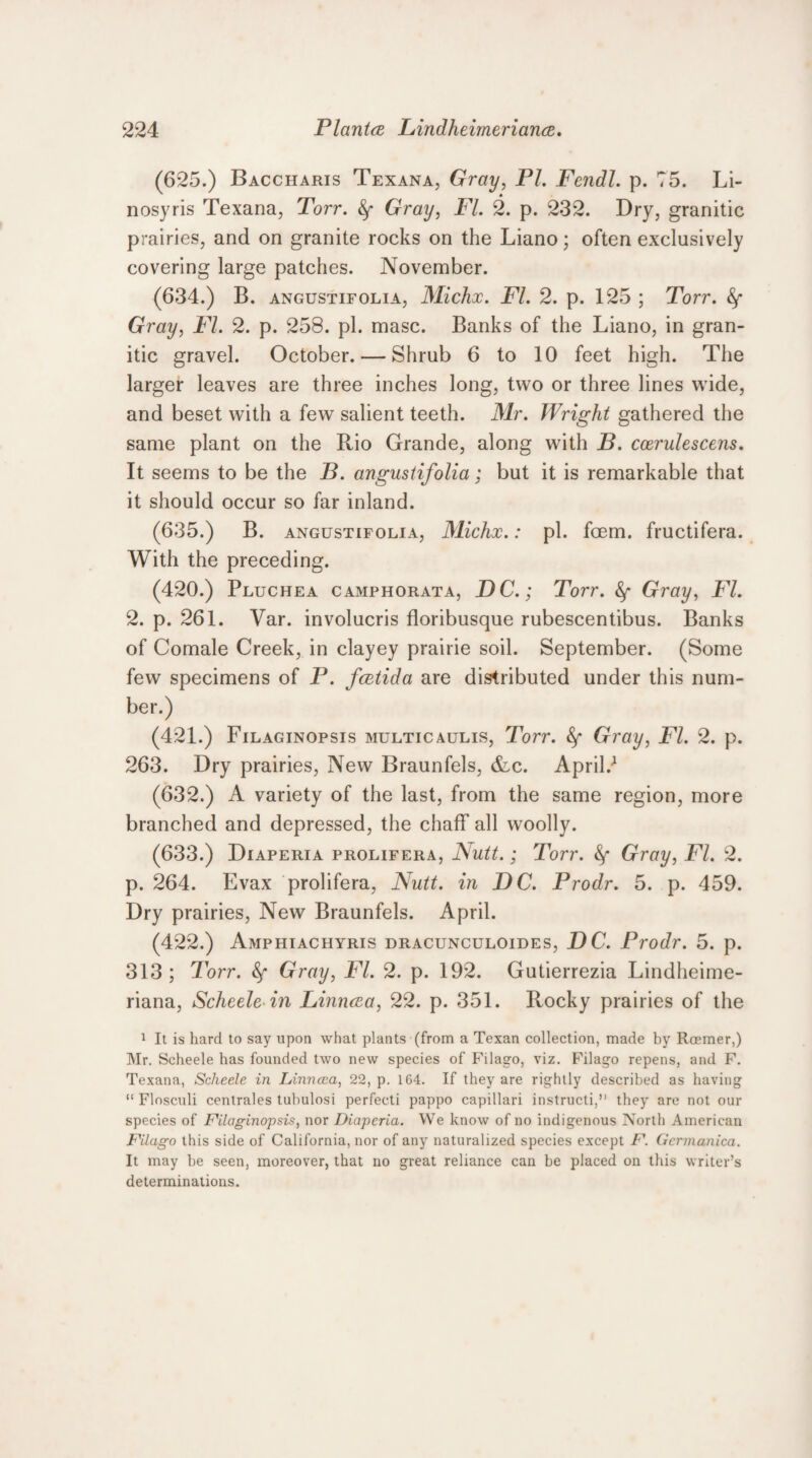 (625.) Baccharis Texana, Gray, PL Fendl. p. 75. Li- nosyris Texana, Torr. fy Gray, FI. 2. p. 232. Dry, granitic prairies, and on granite rocks on the Liano; often exclusively covering large patches. November. (634.) B. angustifolia, Michx. FI. 2. p. 125 ; Torr. fy Gray, FI. 2. p. 258. pi. masc. Banks of the Liano, in gran¬ itic gravel. October. — Shrub 6 to 10 feet high. The larger leaves are three inches long, two or three lines wide, and beset with a few salient teeth. Mr. Wright gathered the same plant on the Rio Grande, along with B. ccerulescens. It seems to be the B. angustifolia; but it is remarkable that it should occur so far inland. (635.) B. angustifolia, Michx.: pi. foem. fructifera. With the preceding. (420.) Pluchea camphorata, DC.; Torr. Gray, FI. 2. p. 261. Var. involucris floribusque rubescentibus. Banks of Comale Creek, in clayey prairie soil. September. (Some few specimens of P. fcetida are distributed under this num¬ ber.) (421.) Filaginopsis multicaulis, Torr. &f Gray, FI. 2. p. 263. Dry prairies, New Braunfels, &c. April.*1 (632.) A variety of the last, from the same region, more branched and depressed, the chaff all woolly. (633.) Diaperia prolifera, Nutt.; Torr. fy Gray, FI. 2. p. 264. Evax prolifera, Nutt, in DC. Prodr. 5. p. 459. Dry prairies, New Braunfels. April. (422.) Amphiachyris dracunculoides, DC. Prodr. 5. p. 313; Torr. fy Gray, FI. 2. p. 192. Gutierrezia Lindheime- riana, Scheele in Linneea, 22. p. 351. Rocky prairies of the 1 It is hard to say upon what plants (from a Texan collection, made by Roemer,) Mr. Scheele has founded two new species of Filago, viz. Filago repens, and F. Texana, Scheele in Linncca, 22, p. 164. If they are rightly described as having “ Flosculi centrales tuhulosi perfecti pappo capillari instructi,” they are not our species of Filaginopsis, nor Diaperia. We know of no indigenous North American Filago this side of California, nor of any naturalized species except F. Gcrmanica. It may be seen, moreover, that no great reliance can be placed on this writer’s determinations.