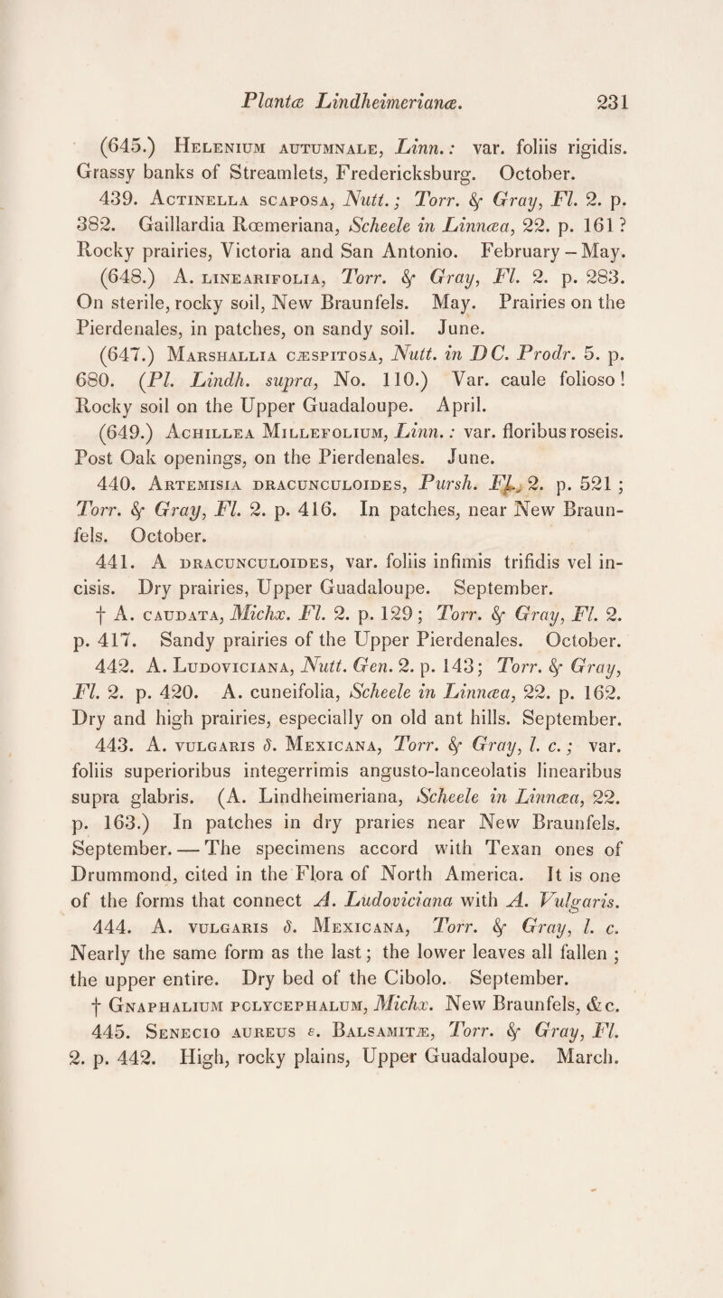 (645.) Helenium autumnale, Linn.: var. foliis rigidis. Grassy banks of Streamlets, Fredericksburg. October. 439. Actinella scaposa, Nutt.; Torr. fy Gray, FI. 2. p. 382. Gaillardia Roemeriana, Scheele in Linncea, 22. p. 161 ? Rocky prairies, Victoria and San Antonio. February - May. (648.) A. linearifolia, Torr. Gray, FI. 2. p. 283. On sterile, rocky soil, New Braunfels. May. Prairies on the Pierdenales, in patches, on sandy soil. June. (647.) Marshallia cjespitosa, Nutt, in DC. Prodr. 5. p. 680. (PI. Lindh. supra, No. 110.) Var. caule folioso! Rocky soil on the Upper Guadaloupe. April. (649.) Achillea Millefolium, Linn.: var. floribus roseis. Post Oak openings, on the Pierdenales. June. 440. Artemisia dracunculoides, Pursh. m 2. p. 521 ; Torr. Gray, FI. 2. p. 416. In patches, near New Braun¬ fels. October. 441. A dracunculoides, var. foliis infimis trifidis vel in- cisis. Dry prairies, Upper Guadaloupe. September. f A. caudata, Michx. FI. 2. p. 129; Torr. Gray, FI. 2. p. 417. Sandy prairies of the Upper Pierdenales. October. 442. A. Ludoviciana, Nutt. Gen. 2. p. 143; Torr. Gray, FI. 2. p. 420. A. cuneifolia, Scheele in Linncea, 22. p. 162. Dry and high prairies, especially on old ant hills. September. 443. A. vulgaris 8. Mexicana, Torr. &f Gray, l. c.; var. foliis superioribus integerrimis angusto-lanceolatis linearibus supra glabris. (A. Lindheimeriana, Scheele in Linncea, 22. p. 163.) In patches in dry praries near New Braunfels. September. — The specimens accord with Texan ones of Drummond, cited in the Flora of North America. It is one of the forms that connect A. Ludoviciana with A. Vulgaris. 444. A. vulgaris 8. Mexicana, Torr. fy Gray, l. c. Nearly the same form as the last; the lower leaves all fallen ; the upper entire. Dry bed of the Cibolo. September. f Gnaphalium pclycephalum, Michx. New Braunfels, &c. 445. Senecio aureus e. Balsamic, Torr. fy Gray, FI. 2. p. 442. High, rocky plains, Upper Guadaloupe. March.