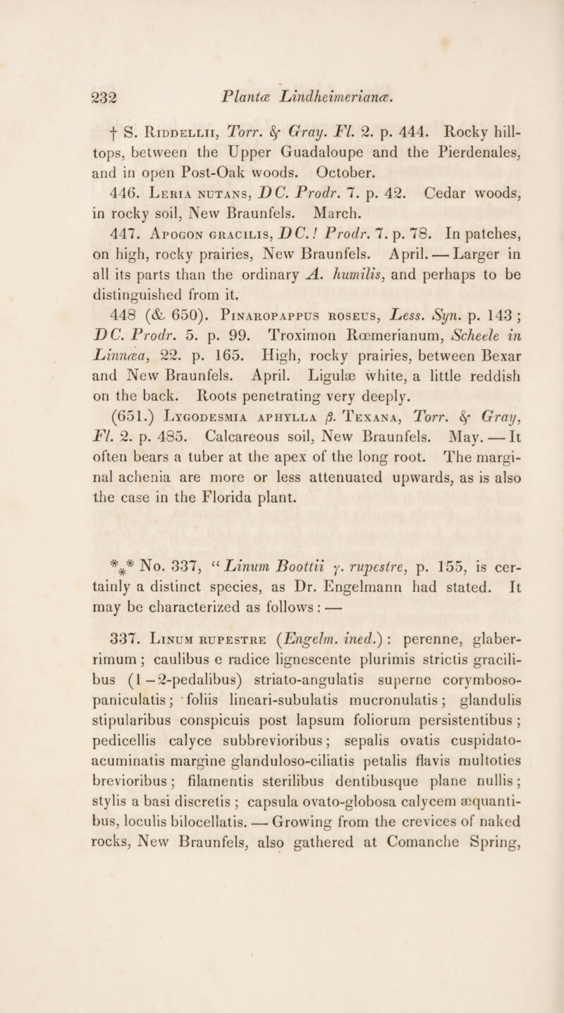 j* S. Riddellii, Torr. Gray. FI. 2. p. 444. Rocky hill¬ tops, between the Upper Guadaloupe and the Pierdenales, and in open Post-Oak woods. October. 446. Leria nutans, DC. Prodr. 7. p. 42. Cedar woods, in rocky soil, New Braunfels. March. 447. Apogon gracilis, DC.! Prodr. 7. p. 78. In patches, on high, rocky prairies, New Braunfels. April. — Larger in all its parts than the ordinary A. humilis, and perhaps to be distinguished from it. 448 (&, 650). Pinaropappus roseus, Less. Syn. p. 143 ; DC. Prodr. 5. p. 99. Troximon Roemerianum, Scheele in Linneea, 22. p. 165. High, rocky prairies, between Bexar and New Braunfels. April. Ligulae white, a little reddish on the back. Roots penetrating very deeply. (651.) Lygodesmia aphylla p. Texana, Torr. &f Gray, FI. 2. p. 485. Calcareous soil, New Braunfels. May.—It often bears a tuber at the apex of the long root. The margi¬ nal achenia are more or less attenuated upwards, as is also the case in the Florida plant. No. 337, “ Limim Boottii y. rupesire, p. 155, is cer¬ tainly a distinct species, as Dr. Engelmann had stated. It may be characterized as follows : — 337. Linum rupestre (Engelm. ined.) : perenne, glaber- rimum ; caulibus e radice lignescente plurimis strictis gracili- bus (1 -2-pedalibus) striato-angulatis superne corvmboso- paniculatis; ‘foliis lineari-subulatis mucronulatis; glandulis stipularibus conspicuis post lapsum foliorum persistentibus ; pedicellis calyce subbrevioribus; sepalis ovatis cuspidato- acuminatis margine glanduloso-ciliatis petalis flavis multoties brevioribus; filamentis sterilibus dentibusque plane nullis; stylis a basi discretis ; capsula ovato-globosa ealyeem aequanti- bus, loculis bilocellatis. — Growing from the crevices of naked rocks, New Braunfels, also gathered at Comanche Spring,