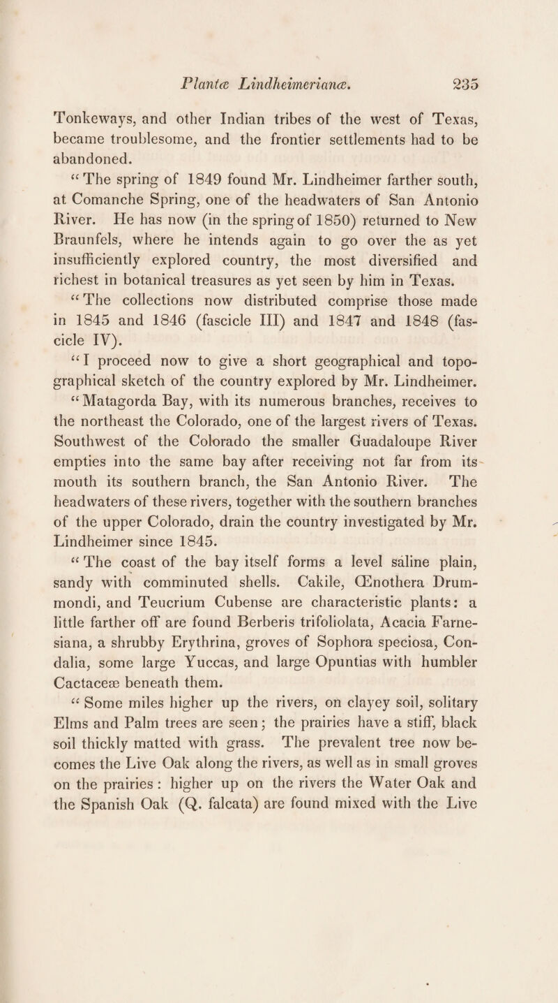 Tonkeways, and other Indian tribes of the west of Texas, became troublesome, and the frontier settlements had to be abandoned. “The spring of 1849 found Mr. Lindheimer farther south, at Comanche Spring, one of the headwaters of San Antonio River. He has now (in the spring of 1850) returned to New Braunfels, where he intends again to go over the as yet insufficiently explored country, the most diversified and richest in botanical treasures as yet seen by him in Texas. “ The collections now distributed comprise those made in 1845 and 1846 (fascicle III) and 1847 and 1848 (fas¬ cicle IV). “ I proceed now to give a short geographical and topo¬ graphical sketch of the country explored by Mr. Lindheimer* “ Matagorda Bay, with its numerous branches, receives to the northeast the Colorado, one of the largest rivers of Texas. Southwest of the Colorado the smaller Guadaloupe River empties into the same bay after receiving not far from its mouth its southern branch, the San Antonio River. The headwaters of these rivers, together with the southern branches of the upper Colorado, drain the country investigated by Mr. Lindheimer since 1845. “ The coast of the bay itself forms a level saline plain, sandy with comminuted shells. Cakile, (Enothera Drum- mondi, and Teucrium Cubense are characteristic plants: a little farther off are found Berberis trifoliolata, Acacia Farne- siana, a shrubby Erythrina, groves of Sophora speciosa, Con- dalia, some large Yuccas, and large Opuntias with humbler Cactacese beneath them. “ Some miles higher up the rivers, on clayey soil, solitary Elms and Palm trees are seen; the prairies have a stiff, black soil thickly matted with grass. The prevalent tree now be¬ comes the Live Oak along the rivers, as well as in small groves on the prairies : higher up on the rivers the Water Oak and the Spanish Oak (Q. falcata) are found mixed with the Live