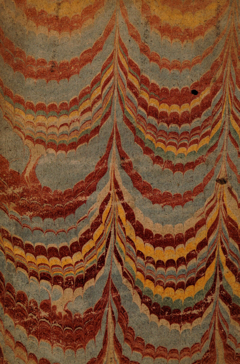 No text description is available for this image