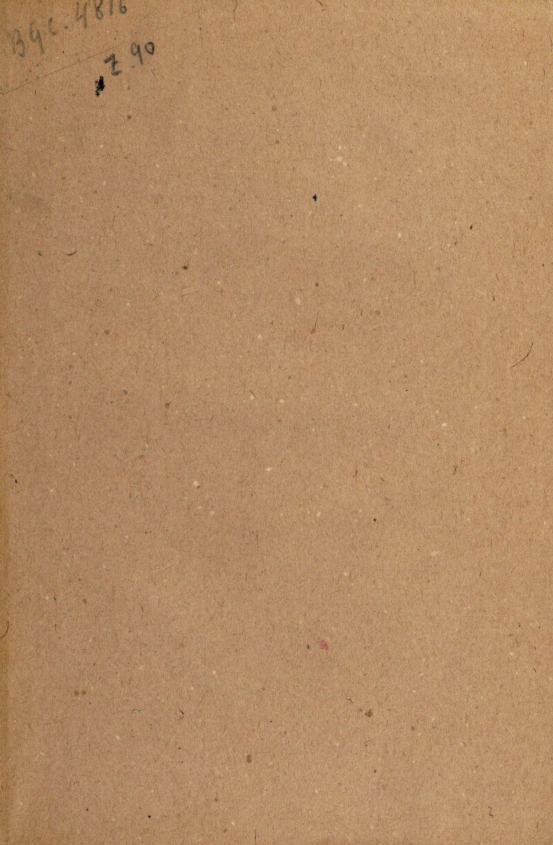 *- é y ' ■ \ * **! ■■ ■ ■ - • ' - 1 , -v. ; . - ‘ ; ;V. . •jp;•. , - ' * -r. ' ' ’* 'y ■ • • ' * . ' ’ -, \ , ; J . * *. . <•. \*