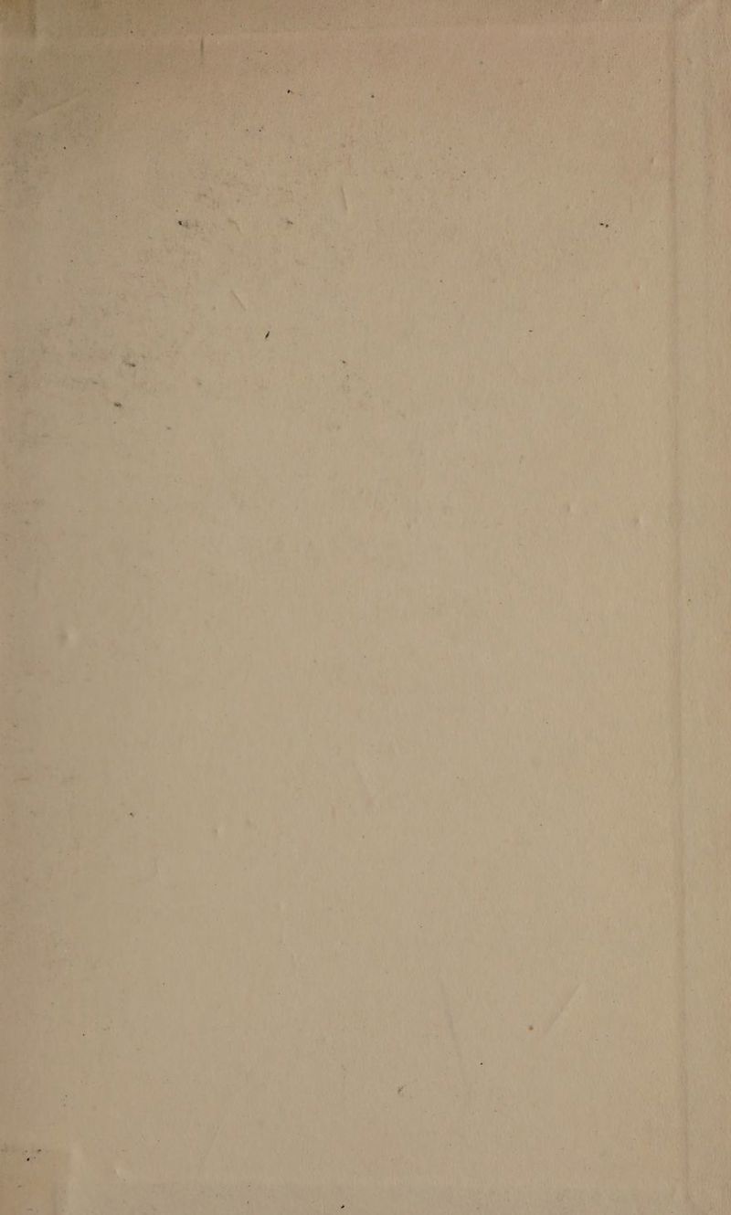 D Vers 4 de 4 P « ñ + 1 = de . Eci Éd r LS n k . + -— F à + à \ \ ” A | CAC TUE. 2 , $ 1 4 l { ‘  . : Ge KE meer mer DL. 1 ol € LE - Da &amp; € È < NL … à AP | \ : { | | 4 À | b œ | d le 1 ». ANIME . ? L 1 à A. &amp; L | G A. 4 | 0 è A al Re er , Le p NE D << - à ‘4n. AL À f « 4 L 4 ‘or °] q 1 0