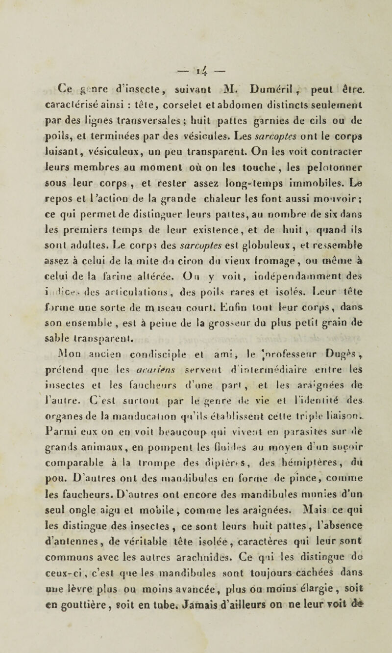 Ce genre d’insecte, suivant M. Duniëril , peut être, caractérisé ainsi : tête, corselet et abdomen distincts seulement par des lignes transversales ; huit pattes garnies de cils ou de poils, et terminées par des vésicules. Les sarcoptes ont le corps luisant, vésiculeux, un peu transparent. On les voit contracter leurs membres au moment où on les touche, les pelotonner sous leur corps , et rester assez long-temps immobiles. Le repos et Laclion de la grande chaleur les font aussi mouvoir; ce qui permet de distinguer leurs pattes, au nonibre de six dans les premiers temps de leur existence, et de huit, quand ils sont adultes. Le corps des sarcoptes est globuleux, et ressemble assez à celui de la mite du ciron du vieux fromage, ou mente à celui de la farine altérée. Ou y voit, indépendamment des i i:bce« des articulations, des poils rares et isolés. Leur tête forme une sorte de na «seau court. Enfin tout leur corps, dans son ensemble , est à peine de la grosseur du plus petit grain de sable transparent, iM on ancien condisciple et ami, le ’orofesseur Dugés , prétend que les acariens servent d intermédiaire entre les insectes et les faucheurs d’une part , et les araignées de l’autre. C est surtout par le genre de vie et l’ideniilé des organes de la manducation qu’ils établissent celte triple liaison., Parmi eux on en voit heaucoiip (jui vivent en parasites sur <îe grands animaux, en poiopenl les fini les au moyen d’un suçoir comparable à la trompe des diptères, des hémiptères, du pou. D’autres ont des mandihules en forme de pince, comme les faucheurs. D’autres ont encore des mandibules munies d’un seul ongle aigu et mobile, comme les araignées. Mais ce qui les distingue des insectes, ce sont leurs huit pattes, l’absence d’antennes, de véritable tête isolée, caractères qui leur sont communs avec les autres arachnides. Ce qui les distingue de ceux-ci, c’est que les mandibules sont toujours cachées dans une lèvre plus ou moins avancée, plus ou moins élargie, soit en gouttière, soit en tube. Jamais d’ailleurs on ne leur voit