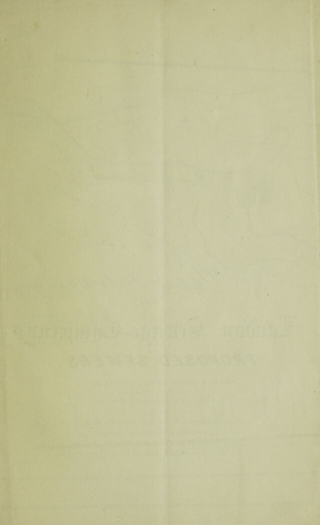 digitised image 3