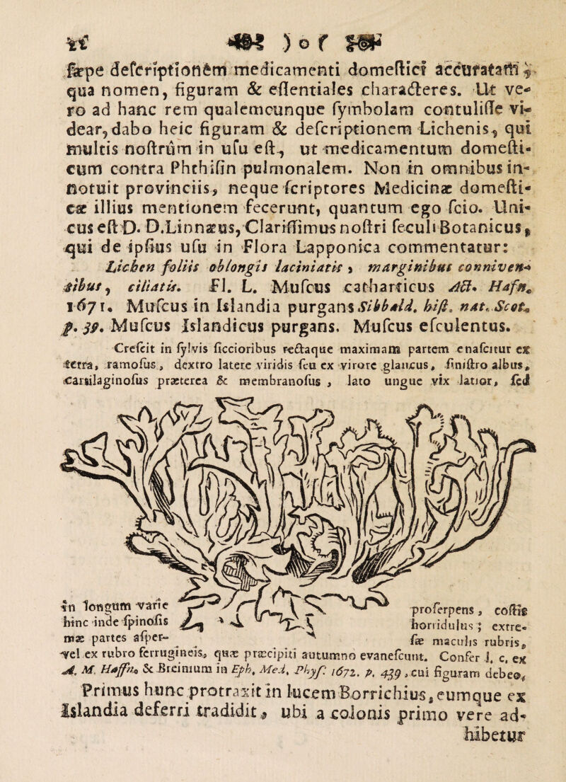 ve )of m* fepe defcnptionfcm medicamenti domeflic? acctjfataSii qua nomen, figuram & eflentiales eharadleres. Ut ve¬ ro ad hanc rem qualemcunque fymbolam cootuliffe vi¬ dear, dabo heic figuram & deferiptionem Lichenis, qui multis noftrum sn ufu eft , ut medicamentum domefti- cum contra Phthifin pulmonalem. Non in omnibus in¬ notuit provinciis, neque feriprores Medicinae domefti- cae illius mentionem fecerunt, quantum ego fcio* Uni¬ cus e (I D- D.Linnsus, Clariflimus noftri feculi Botanicus* qui de spfius ufu in Flora Lapponica commentatur: Lichen foliis oblongis iaciniatk > marginibus conniven■* sibus, ciliatis. FI. L. Mufcus cafbarncus Aci. Hafn« 1671. Mufcus in Islandia purgans Slbbald. hi fi. nat^Scot^ #• 39. Mufcus Isiandicus purgans. Mufcus efcuientus. ■Creteit in fy!vis ficcioribus rc&aque maximam partem enafcitur ex terra, ramofus, dextro latere viridis feu ex virore glaitcus, fi.niftra albus* .earsilaginofus praeterea membranofus , lato ungue vix latior, Jted vn longum varie btne inde fpinolis * proferpens, eo$ls _ , _ horridulus ; exrre* mae partes afper- ^ H fa? maculis rubris* Vel ex rubro ferrugineis, qua; prsecipui autumno evanefeutit. Confer J, c, ex A. M H*ffn.&-Bicinium in Ej>h, Med% pUyf l6?z, A ^ ,cui figuram debe©. Primus hunc protraxit in lucem Rorrichius.eumque ex Islandia deferri tradidit,, ubi a colonis primo vere ad¬ hibetur