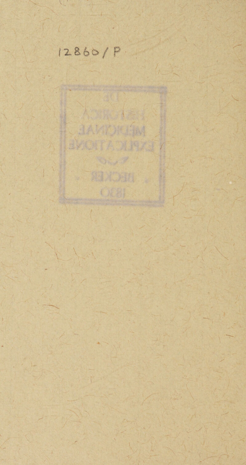 V ' . < \ { . v. V (2. & 6 c> / P j ■ ■\ / v \ A •' ■. ••N / “= A- r / V \ V ' \ t X /* •» •> ' -x \ ^ ( /.U V 4; :• V. I r I i '