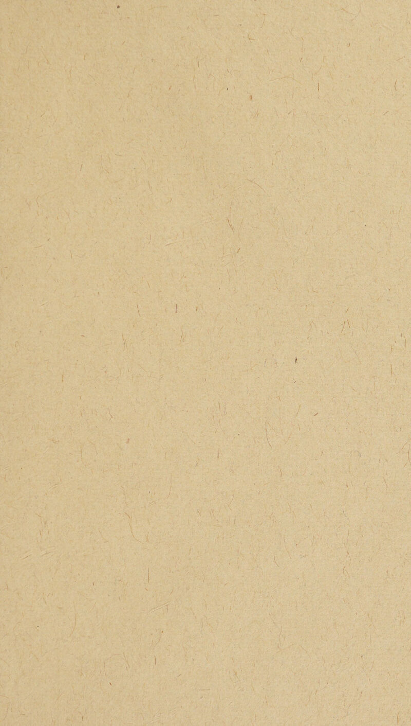 , > * / i \ / 'V- \ / I i { / \ - < .1 v' I \ 1 * ri \ ‘ \ I ' ... i > f .1