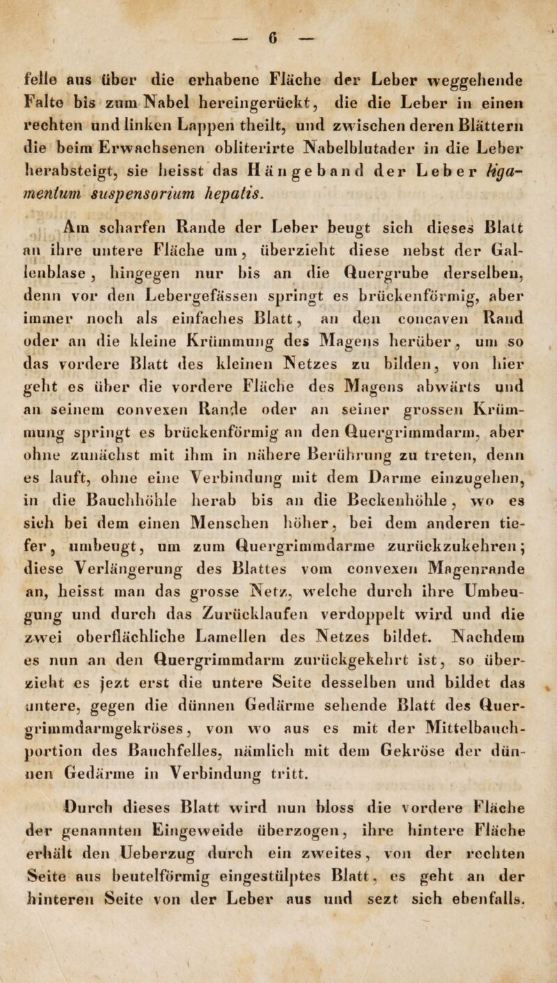 l feile aus über die erhabene Fläche der Leber weggebende Falte bis zum Nabel hereingerückt, die die Leber in einen rechten und linken Lappen theilt, und zwischen deren Blättern die beim Erwachsenen obliterirte Nabelblutader in die Leber herabsteigt, sie heisst das Hängeband der Leber Hga- menlum Suspensorium hepatis. Am scharfen Rande der Leber beugt sich dieses Blatt an ihre untere Fläche um, überzieht diese nebst der Gal¬ lenblase , hingegen nur bis an die Quergrube derselben, denn vor den Lebergefässen springt es brückenförmig, aber immer noch als einfaches Blatt, an den concaven Rand oder an die kleine Krümmung des Magens herüber, um so das vordere Blatt des kleinen Netzes zu bilden, von hier geht es über die vordere Fläche des Magens abwärts und an seinem convexen Rande oder an seiner grossen Krüm¬ mung springt es brückenförmig an den Quergrimmdarm, aber ohne zunächst mit ihm in nähere Berührung zu treten, denn es lauft, ohne eine Verbindung mit dem Darme einzugehen, in die Bauchhöhle herab bis an die Beckenhöhle, wo es sich bei dem einen Menschen höher, bei dem anderen tie¬ fer, nmbeugt, um zum Quergrimmdarme zurückzukehren; diese Verlängerung des Blattes vom convexen Magenrande an, heisst man das grosse Netz, welche durch ihre Umbeu¬ gung und durch das Zurücklaufen verdoppelt wird und die zwei oberflächliche Lamellen des Netzes bildet. Nachdem es nun an den Quergrimmdarm zurückgekehrt ist, so über¬ zieht es jezt erst die untere Seite desselben und bildet das untere, gegen die dünnen Gedärme sehende Blatt des Quer- griimndarmgekröses, von wo aus es mit der Mittelbauch¬ portion des Bauchfelles, nämlich mit dem Gekröse der dün¬ nen Gedärme in Verbindung tritt. Durch dieses Blatt wird nun bloss die vordere Fläche der genannten Eingeweide überzogen, ihre hintere Fläche erhält den Ueberzug durch ein zweites, von der rechten Seite aus beutelförmig eingestülptes Blatt, es geht an der hinteren Seite von der Leber aus und sezt sich ebenfalls.