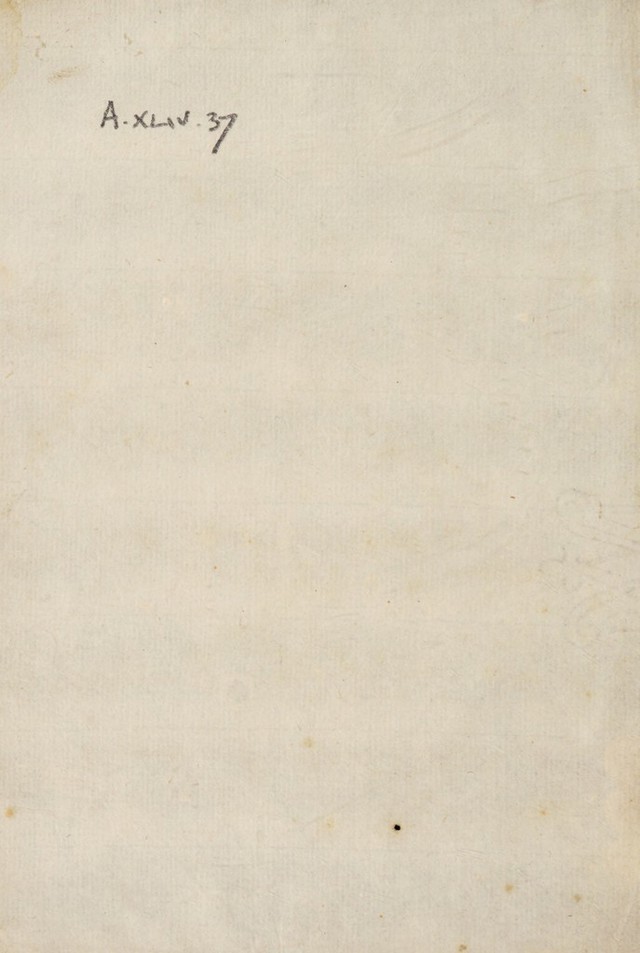 digitised image 2