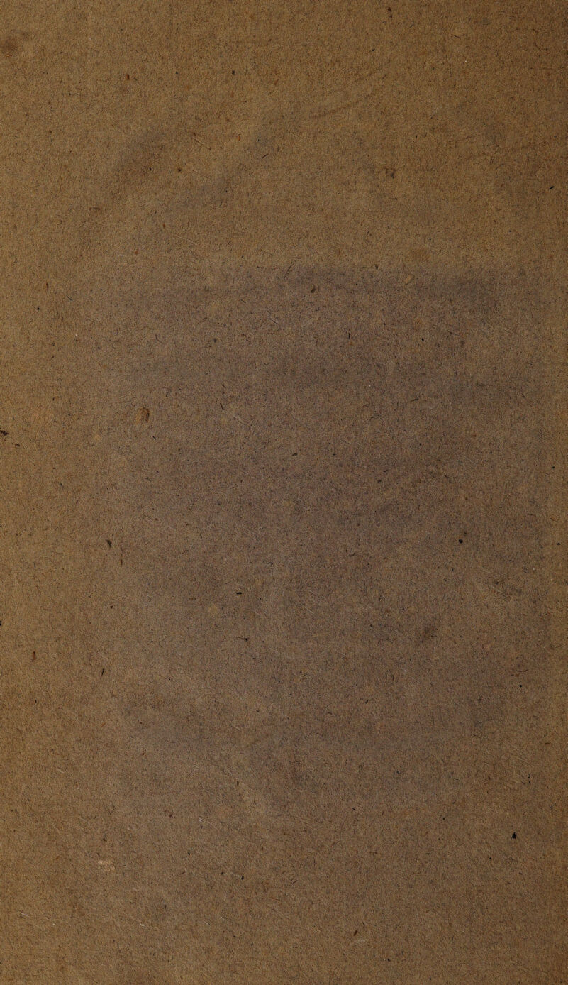 : , Y ■. . ' ■ !.-• y-?) • ' •' ,-n. ••• . • **• • •>. V . : -'^v'vb '..a/aA' . -At • . % A,' v-Av: ,a: > A-YSAYyAAAAVA i ■■■..' ■ ■:>■ y>Y. . : - ; YY 'ïyyyyyyyy - ’ ’. ■ ■ * ■ • '..vA'.Vvl .A .. ■ AAy.AAy'Y.' ■ a A A'V ' * - ->•■ ‘V,.- ï-;/ •■•Af'::-;:';.. YA ■:; ■V' •:, .•■>•, •‘«B0& r:<vS7AAAvA ■■ v-v.f ■ • üSl Y, - . v y i . X:-<-X:XXfX vA-A AAy'Y y: 1- -• t>7 -'■ >y : •v'^A:'- ■ '-V Vs.'- ' y ' ' •■ '• A. AfoAV ’ ;A®?§g ■ ■' * . A ■^m m:&xWMï . IHrte‘ WMiïM-ë a aay;:&Ss : t * O Pi $5 ; • g> . .. ./: ;i *4 '■ aa.aAvA - '$ AA AA.AaaA AAaaA vAVv .'SA . ‘ f i; ■ A A- v^rV.^-.MVyA*: IyY 'YvYvY; AYi&Y' V-,.- ¥•■’• -■ .¥*...',, ‘■v- ‘J' ' -•- .'c A->. ;- >> •'• 'V .' - *•' -.- S-Mf jr,V.. •.¥« •. . A *' i ^ | , ' ^ '• V ' / 7»r ; '4' * .r '4 Sr?$lL5vK• Xjis’i .*,■■ *.?;■■■?'itfz A ■. y ‘ . •, • V ‘ ‘: 5 i.-'aitJJsfgtSi.-s.-ste . '•■ ' • '. -'- U v.• :‘%v • v<.': , ;K- 'V. A,p: . . ■’ f. ■ ' y. ' . - .■: / I • A-V A--W r,:-'v -■'•■ .-•i--- v<'r*%ï{*v $ ■ . . ;; i AV; ry ■ ■ ■ . — ! • ■■ ... X ■ fv, ■ • -Jt-i , ■. ,■>■ ■' r--,--v '.y:-. -ét- WmmM '♦IC - ■ , •:>. .; . tjïy.-J-g:? X-&!l - : : w><'vV Uj.'. .. ;• ••' ï/-: ^ -VÏV' ■■' y^'■ ' : X4'*1 ' • . ; 'V-• ■■-; --r . . ■ ■ '*■ 7*A - .-■■-.■ rx. 'V-'M- ■' ' ’/v A ■' . ’ .4,0- . ■ “ ' >> . i . ■}'V^ . Ay : A-A '?;x .Vy : ri :. . vy■ •> . •i ’ • -rX4- si §§! .y/'y y;. sas ' ‘ . . - ■ . sISfë „Ji,. ;.•; v... ... , lül: v: i- :*• ,.4/ ;M ''SaXS ■ xxx%-;zyxxx-:-.:' ■ • ■ ' f - ••? m, • ’■•' ; ,-v. . . ï-XX.'r ■ y- r* SïV : SS' ÈêÊÊMê&m :k irp , .'.a' ■ : ’iy‘ '• \V ■ ■ 'V . • \ . ?*,>- . '1 :- • . * • , ; •'. «. '■ - •4ja' :M??r '■ ..i • . '''' -A '.I -jX '■ ' ' .. . ,¥; . ^ -ri :■ mmm ’ . ■ • -y'--.%•>• :,.YY-: ... . ... vY.>< ;v.:-; . - -• -. v ,y( . . . ->•. .r : .V' ■ - ■ . ■ ’ ■,,•• •• -.',1. ‘ \ \ 4 v. -V :••••;. «>ïA' *. ‘ '' XX /• a-y' o >' ■ ‘A . ■• aA •, -Y^v-'.'.vYSY.-a'A.VVs mm mxi ■ ^;Y'Y.”:y; ■ . ■ ;* AA YY ¥ - y '.¥■'¥ ' ■ yyy,y..:‘ y'!’-■ i' AAYAy-- ' : ay.-aSv.y^yO-, '■■; -YYY- '..'Y' Y.t 'A:-Y-H .. />- > -• ... . Y--V ' Ysy-'S--,; ' ■'.• .. ■■-. ' WM :m§& Wm ■-. >\ v- . •••■ •• ;•-: \ -7■■ •■ .• .•■*.. • V-. ■ . . '- - V .’V ¥ . • ■ ■ - ,, - y'~-~ ■ •• ’•s'-’-- ¥\.‘ ' :• ; >. •'' . .. ' ' - ■' ...... y ■ ■• HY -: *5••afei'ijft ¥ijï>v;y Yig,'a;y?'- V •■■: .-'. . ' .. ' ' ' l : ' A A; ' ’y . ' '. ■ -■ y-A ;. ’...,■ 'x^ ¥ ■ Y'y'yA ■ 'y.Y v .. ~ïH . - .'% ' .■ Syfa: ' . V , >:SS;:¥'Y.. -YY.Y' SÏYyiS'y’YY '. . .'■ Y . • 1 ' v-SyyY-: ‘ . . . ■ - v : ' S-....V •; . . ¥ - ■ ' ƒ .‘YYy, Y •'Y'YY;.' .'* ;.. ’.Y y ; y; y.'-./-'-' y-Y . Y, -v ■’.. '• y; y va r '•■.• ..-. :..Y.Y': '-. ' ■■ ■ YYvïy.y • .y-•-. v- V' : . • y mm. YjrY,-ft. ■, ; 'Y ' ' ' : - V.7 .'AyyYtY.. ‘Y Y' \y;ya ■ . . ■ v- jWV> ' ’ N- w- ’yX \ ' V” - ’ . ' * V’ , ‘ 1 ' ; yAay-S A / y v Sy .. ¥ y -y M . -/ . '• *• Y^VY'y Y.. .