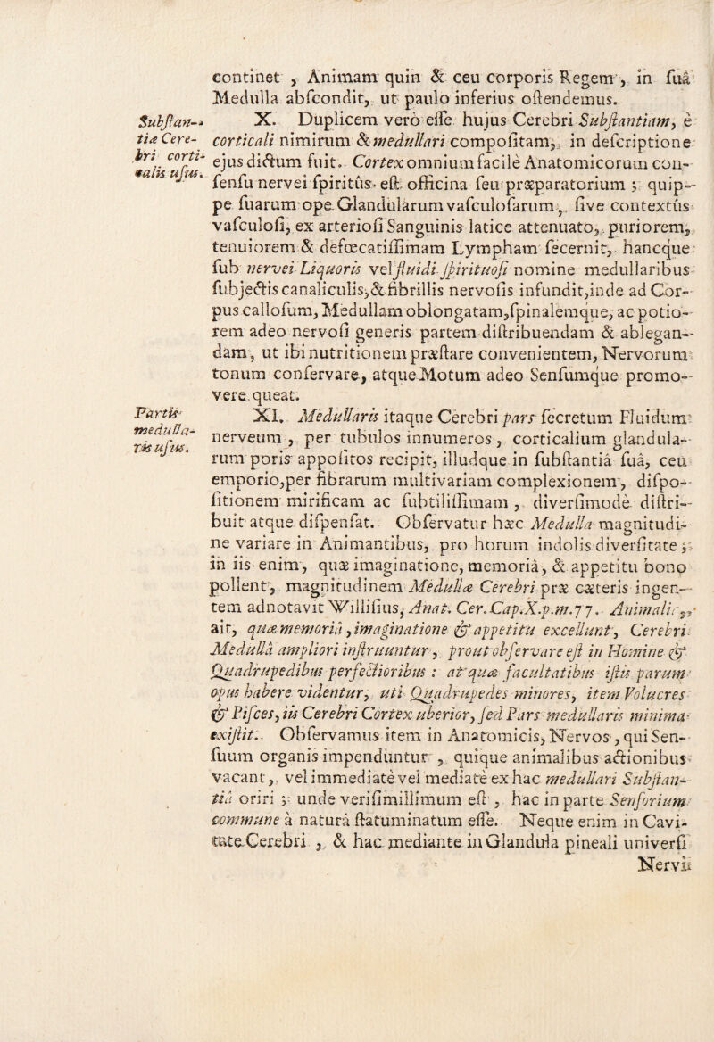 ti<z Cere¬ bri corti* talis ufus* Partisr meduUa- TM ufim. continet , Animam quin & ceu corporis Regem , in fua Medulla abfcondit, ut paulo inferius oftendemus. corticali nimirum & medullari compofitam^ in deferiptione ejus diftum fuit. Cortex omnium facile Anatomicorum con- fenfu nervei (piritus» eft officina feirpraeparatorium y quip¬ pe fuarum ope Glandularum vafculofarum ? five contextus vafculofi, ex arteriofi Sanguinis latice attenuato,. puriorem, tenuiorem & defmcatiilimam Lympham fecernit, hancque: fub nervei Liquoris vdfiuidi- Jpirituoji nomine medullaribus fubje&tscanaliculis,&fibrillis nervoiis infundit,inde ad Cor¬ pus cailofum, Medullam oblongatam,fpinalemque, ac potio-- rem adeo nervo!] generis partem dillribuendam & ablegan¬ dam, ut ibi nutritionem proflare convenientem, Nervorum tonum confervare , atque Motum adeo Senfumque promo— vere, queat. XI. Medullaris itaque Cerebri pars fecretum Fluidum? nerveum , per tubulos innumeros , corticalium glandula¬ rum poris appoiitos recipit, illudque in fubftantia fua, ceu emporio,per fibrarum multivariam complexionem , difpo— fitionem mirificam ac fubtiliffimam , diverfimode diftri- buit atque difpenfat. Gbfervatur hxc Medulli magnitudi— ne vanare in Animantibus, pro horum indolis diverfitate y In iis enim, qu2e imaginatione, memoria, &. appetitu bono pollent, magnitudinem Meduliae Cerebri prx canteris ingen¬ tem adnotavit Willifius,- Anat Cer.CapM.p.m.jj. Ammalir^y ait, qua-memoria ,imaginatione &appetitu excellunt. Cerebri Medulla ampliori infixuuntur, prout cbfervare eji in Homine (fi Quadrupedibus p erfeBior i bm : at qua facultatibus ijtls parum opus habere videntur, uti Quadrupedes minores, item Volucres & Pifces, iis Cerebri Cortex uberior, fed Pars medullaris minima- exifiit- Obfervamus item in Anatomicis, Nervos, quiSen- fuum organis impenduntur, 5 quique animalibus actionibus^ vacant,, vel immediate vel mediate ex hac medullari Subfian- tia oriri y unde verifimillimum eft', hac in parte Senforium commune a natura fta tu mi na tum effe.. Neque enim in Cavi- tate Cerebri 3. & hac mediante in Glandula pineali univerft Nervii