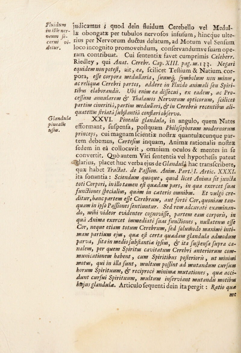 in iliis ner- veum je~ cerni vi¬ detur. Glandula ■pinealis ufus. judicamus ; quod dein fluidum Cerebello vel Medul¬ lae obongata per tubulos nervofos infufum, hincque ulte¬ rius per Nervorum du&us delatum, ad Motum vel Senfum loco incognito promovendum, confervandumve fuam ope¬ ram contribuat. Cui fententia favet cumprimis Cdeberr. Riedley , qui Anat. Cerebr. Cap.XIII. pag.m. 133. Negari equidem nonpoteft, ait, ea, fcilicet Teft-ium & Natium, cor¬ pora, ejje corpora medullaria, fuumcfe fiymbolum non minus, ac reliqua Cerebri partes, adedere in Fluido animali feu Spiri¬ tibus elaborandis. Ubi enim ea difjecui, ex eadem, ac Pro- cejfum annularem & Thalamos Nervorum opticorum, fcilicet partim cineritid,partim medullari, & in Cerebris recentibus ali¬ quatenus ftriata fubjlantid conflari obfervo. XXVI. Pinealis glandula, in angulo, quem Nates efformant, iufpenia, poftquam Philofophorrtm modernorum princeps, cui magnam fcientia noflra quantulaecunque par¬ tem debemus, Cartefim inquam, Animae rationalis nollras i e dem in ea collocavit , omnium oculos Sc mentes in fe convergit. Quo autem Viri fententia vel hypothefis pateat flarius,^ placet huc verba ejus de Glandula hac translcriberef qua habet Tra&at. de Paffion. Anim. Partii. Artic. XXXI. ita Tonantia : Sciendum quooLue, quod licet Anima fit juncia toti Corpori, in illo tamen ejl quadam pars, in qua exercet fu as funBiones fecialius, quam in eat eris omnibus. Et vulfo cre¬ ditur,hanc partem e fi e Cerebrum, aut forte Cor, quoniam tan- quamin ipfio Pajfiones fient iuntur. Sed rem a deurat e examinan¬ do, mihi videor evidenter cognovijfie, partem eam corporis, in qua Anima exercet immediate fu as funBiones , nullatenus effis Cor, neque etiam totum Cerebrum, fied folumodo maxime inti¬ mam partium ejus, qua ejl certa quadam glandula admodum parca, fit a in medio fubjlant ia ipfiusy jy' ita fujfienfa fiupra ca¬ nalem, per quem Spiritus cavitatum Cerebri anteriorum com¬ municationem habent, cum Spiritibus pojlerioris, ut minimi motus, qui in illa fiunt, multum pojjint ad mutandum cur funi horum Spirituum, pj1 reciproce minima mutationes, qua acci¬ dunt curfiui Spirituum, multum infierviant mutandis motibus bnjus glandula. Articulo fequenti dein ita pergit: fictio qua