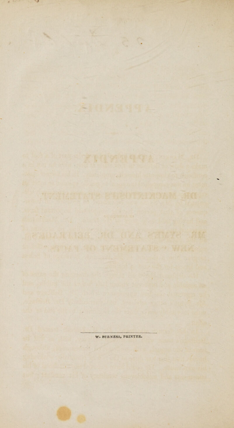 w. BURNESS, PRINTER,