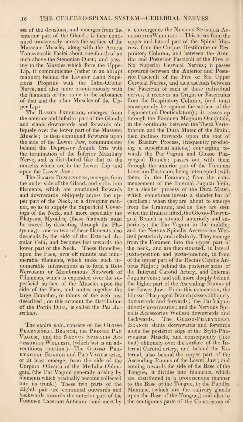est of the divisions, and emerges from the anterior part of the Gland; is then conti¬ nued transversely across the surface of the Masseter Muscle, along with the Arteria Transversalis Faciei about one-fourth of an inch above the Stenonian Duct; and pass¬ ing to the Muscles which form the Upper Lip, it communicates (rather in an abrupt manner) behind the Levator Labii Supe- rioris Proprius with the Infra-Orbitar Nerve, and also more promiscuously with the filaments of the same in the substance of that and the other Muscles of the Up¬ per Lip: The Ramus Inferior, emerges from the anterior and inferior part of the Gland ; and slants downwards and forwards ob¬ liquely over the lower part of the Masseter Muscle; is then continued forwards upon the side of the Lower Jaw, communicates behind the Depressor Anguli Oris with the termination of the Inferior Maxillary Nerve, and is distributed like that to the muscles which are in the Lower Lip and upon the Lower Jaw : The Ramus Descendens, emerges from the under side of the Gland, and splits into filaments, which are continued forwards and downwards obliquely across the up¬ per part of the Neck, in a diverging man¬ ner, so as to supply the Superficial Cover¬ ings of the Neck, and more especially the Platysma Myoides, (these filaments must be traced by dissecting through the Pla¬ tysma,)—one or two of these filaments also descends by the side of the External Ju- gular Vein, and becomes lost towards the lower part of the Neck. These Branches, upon the Face, give off minute and innu¬ merable filaments, which make such in¬ numerable intersections as to form a Rete Nervosum or Membranous Net-work of Filaments, which is expanded over the su¬ perficial surface of the Muscles upon the side of the Face, and unites together the large Branches, or talons of the web just described ; on this account the distribution of the Portio Dura, is called the Fes An- serinus. The eighth pair, consists of the Glosso Pharyngeal Branch, the Proper Pae Vagum, and the Nervus Spinalis Ac¬ cessorius Wellesii, (which last is an ad¬ ventitious portion.)—The Glosso Pha¬ ryngeal Branch and Par Vagum arise, or at least emerge, from the side of the Corpora Olivaria of the Medulla Oblon¬ gata, (the Par Vagum generally arising by filaments which gradually become collected into its trunk.) These two parts of the Eighth pair are continued outwards and backwards towards the anterior part of the Foramen Lacerum Anticum—and meet by a convergence the Nervus Spinalis Ac- cessoriusWellesii.—This arises from the upper and lateral part of the Spinal Mar¬ row, from the Corpus Restiforme or Res¬ piratory Column, and between the Ante¬ rior and Posterior Fasciculi of the Five or Six Superior Cervical Nerves; it passes upwards between the Anterior and Poste¬ rior Fasciculi of the Five or Six Upper Cervical Nerves, and as it ascends between the Fasciculi of each of these individual nerves, it receives an Origin or Fasciculus from the Respiratory Column, (and must consequently be against the surface of the Ligamentum Denticulatum) ; it passes up through the Foramen Magnum Occipitale, in the continuity between the Theca Verte- brarum and the Dura Mater of the Brain; then inclines forwards upon the root of the Basilary Process, (frequently produc¬ ing a superficial sulcus,) converging to¬ wards the Par Vagum and Glosso Pha¬ ryngeal Branch; passes out with them through the anterior part of the Foramen Lacerum Posticum, being intercepted (with them, in the Foramen,) from the com¬ mencement of the Internal Jugular Vein, by a slender process of the Dura Mater, which sometimes invests a slender bar of cartilage : when they are about to emerge from the Cranium, and as they are seen when the Brain is lifted, the Glosso-Pharyn- geal Branch is situated anteriorly and su¬ periorly; the Par Vagum in the middle; and the Nervus Spinalis Accessorius Wel¬ lesii posteriorly and inferiorly. They emerge from the Foramen into the upper part of the neck, and are then situated, in lateral juxta-position and juxta-j unction, in front of the upper part of the Rectus Capitis An- ticus Major; behind the posterior sides of the Internal Carotid Artery, and Internal Jugular vein ; and still more deeply behind the higher part of the Ascending Ramus of the Lower Jaw. From this connection, the Glosso-Pharyngeal Branch passes obliquely downwards and forwards; the Par Vagum directly downwards ; and the Nervous Spi¬ nalis Accessorius Wellesii downwards and backwards. The Glosso-Pharyngeal Branch slants downwards and forwards along the posterior edge of the Stylo-Pha- ryngeus Muscle, and consequently (like that) obliquely over the surface of the In¬ ternal Carotid artery, and behind the Ex¬ ternal, also behind the upper part of the Ascending Ramus of the Lower Jaw; and coining towards the side of the Base of the Tongue, it divides into filaments, which are distributed in a promiscuous manner to the Base of the Tongue, to the Papillae Maximae, (which are the salivary glands upon the Base of the Tongue,) and also to the contiguous parts of the Constrictors of