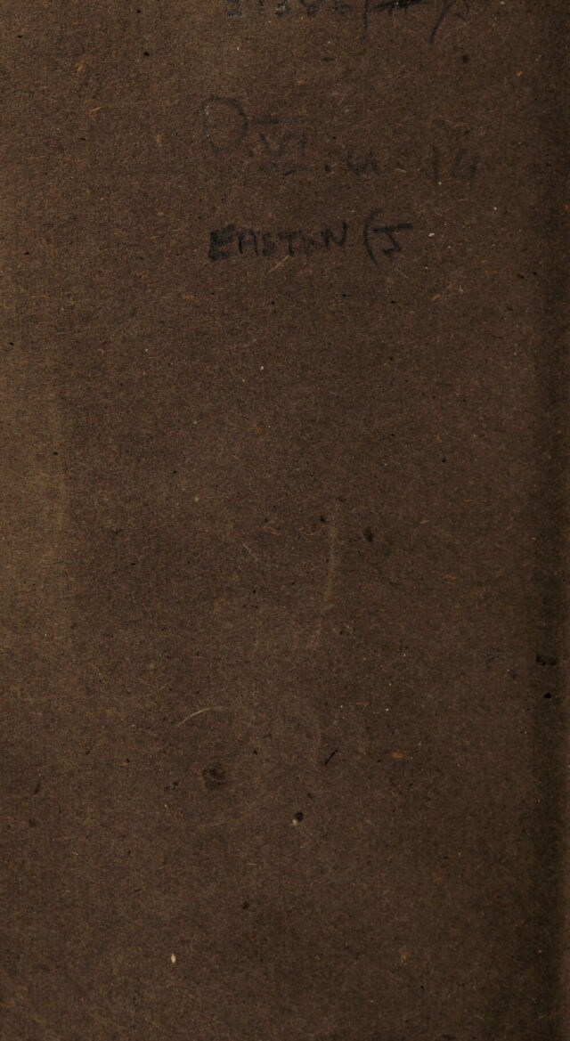 digitised image 2