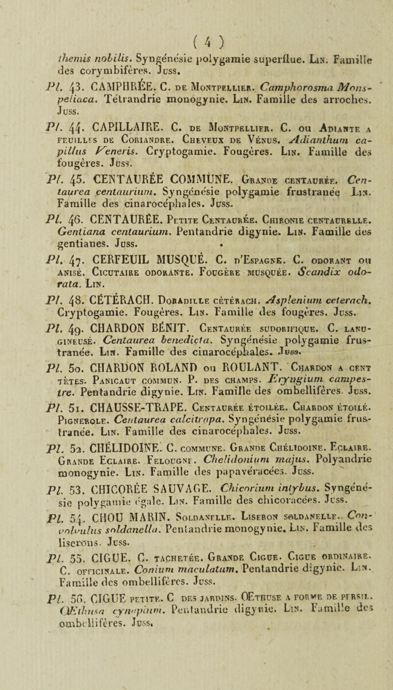 themis nolilis. Synge'nésie polygamie superflue. Lin. Famille des corymbifères. Juss. PL 43. CAMPHRÉE. C. de Montpellier. Camphorosma Mons- peliaca. Tétrandrie monogynie. Lin. Famille des arroches. Juss. PL 44* CAPILLAIRE. C. de Montpellier. C. ou Adiante a FEUILLES DE CoRIANDRE. CHEVEUX DE VÉNUS. Adianthum CCl- piilus l^eneris. Cryptogamie. Fougères. Lin. Famille des fougères. Juss. PL 45. CENTAURÉE COMMUNE. Grande centaurée. Cen¬ taurea centaurium. Syngénésie polygamie frustranée Lin. Famille des cinarocéphales. Juss. PI. 46. CENTAURÉE. Petite Centaurke. Chironie centaürelle. Genliana centaurium. Pentandrie digynie. Lin. Famille des gentianes. Juss. PI. 47- CERFEUIL MUSQUÉ. C. d'Espagne. C. odorant ou ANISÉ. ClCUTAIRE ODORANTE. FOUGERE MUSQUÉE. Sca/ldix odo- rata. Lin. PL 48- CÉTÉRACH. DobAdille cétérach. Asplénium ceterach. Cryptogamie. Fougères. Lin. Famille des fougères. Juss. PI. 49. CHARDON BÉNIT. Centaurée sudorifique. C. lanü- gineusé. Centaurea benediçta. Syngénésie polygamie frus- tranëe. Lin. Famille des cinarocéphales. .Tues. PL 5o. CHARDON ROLAND ou ROULANT. Chardon a cent tètes. Panicaut commun. P. des champs. Eryngium campes- tre. Pentandrie digynie. Lin. Famille des ombellifères. Juss. PL 5i. CHAUSSE-TRAPE. Centaurée étoilée. Chardon étoilé. Pignerole. Centaurea calcitrapa. Synge'nésie polygamie frus¬ tranée. Lin. Famille des cinarocépbales. Juss. PL 52. CHÉLIDOINE. C. commune. Grande Chélidoine. Eclaire. Grande Eclaire. Felougnf. Chelidonium majus. Polyandrie monogynie. Lin. Famille des papavéracées. Juss. PL 53. CHICORÉE SAUVAGE. Chicnrium intybus. Syngéné- sie polygamie égale. Lin. Famille des chicoracées. Juss. PL 5}. CHOU MARIN. Soldanflle. Liseron soldanelle. O/j- volvulus snldanella. Pentandrie monogynie. Lin. Famille des liserons. Juss. PL 55. CIGUË. C. tachetée. Grande Ciguë. Ciguë ordinaire. C. ofhcinale. Conium maeulatum. Pentandrie digynie. Lin. Famille des ombellifères. Juss. PL 56. CIGUË petite. C DES JARDINS. OEtHÜSE A FORME DE PERSIL. (JEthusn cynuputm. Pentandrie digynie. Lin. I amibe dc-> ombellifères. Juss,