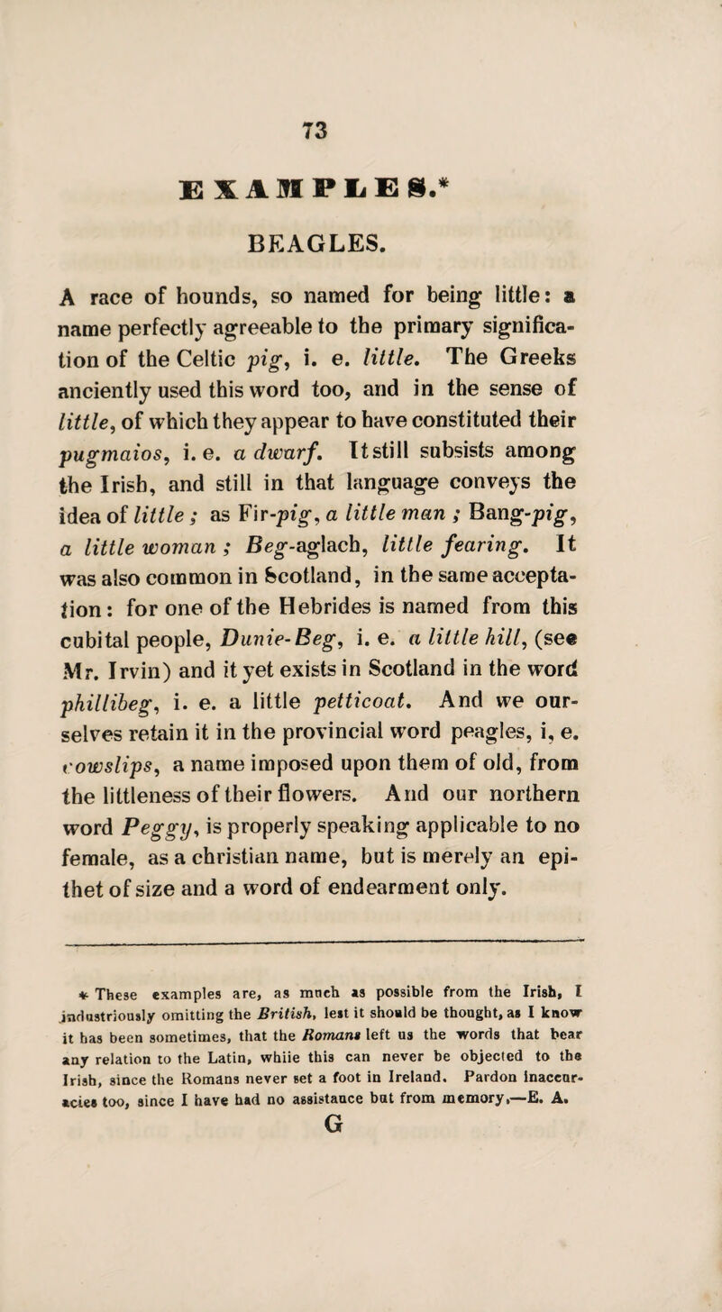 examples.* BEAGLES. A race of hounds, so named for being little: a name perfectly agreeable to the primary significa¬ tion of the Celtic pig, i. e. little. The Greeks anciently used this word too, and in the sense of little, of which they appear to have constituted their pugmaios, i. e. a dwarf. It still subsists among the Irish, and still in that language conveys the idea of little; as Fir-pig, a little man ; Bang-pig, a little woman ; JBeg-aglach, little fearing. It was also common in Scotland, in the same accepta¬ tion : for one of the Hebrides is named from this cubital people, Dunie-Beg, i. e. a little hill, (see Mr. Irvin) and it yet exists in Scotland in the word philliheg, i. e. a little petticoat. And we our¬ selves retain it in the provincial word peagles, i, e. cowslips, a name imposed upon them of old, from the littleness of their flowers. And our northern word Peggy, is properly speaking applicable to no female, as a Christian name, but is merely an epi¬ thet of size and a word of endearment only. *. These examples are, as mnch as possible from the Irish, l .industriously omitting the British, lest it should be thought, as I know it has been sometimes, that the Romans left us the words that bear any relation to the Latin, whiie this can never be objected to the Irish, since the Romans never Bet a foot in Ireland. Pardon Inaccur¬ acies too, since I have had no assistance but from memory,—E. A. G