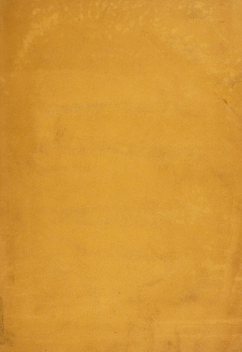 Tì l 'W. tei
