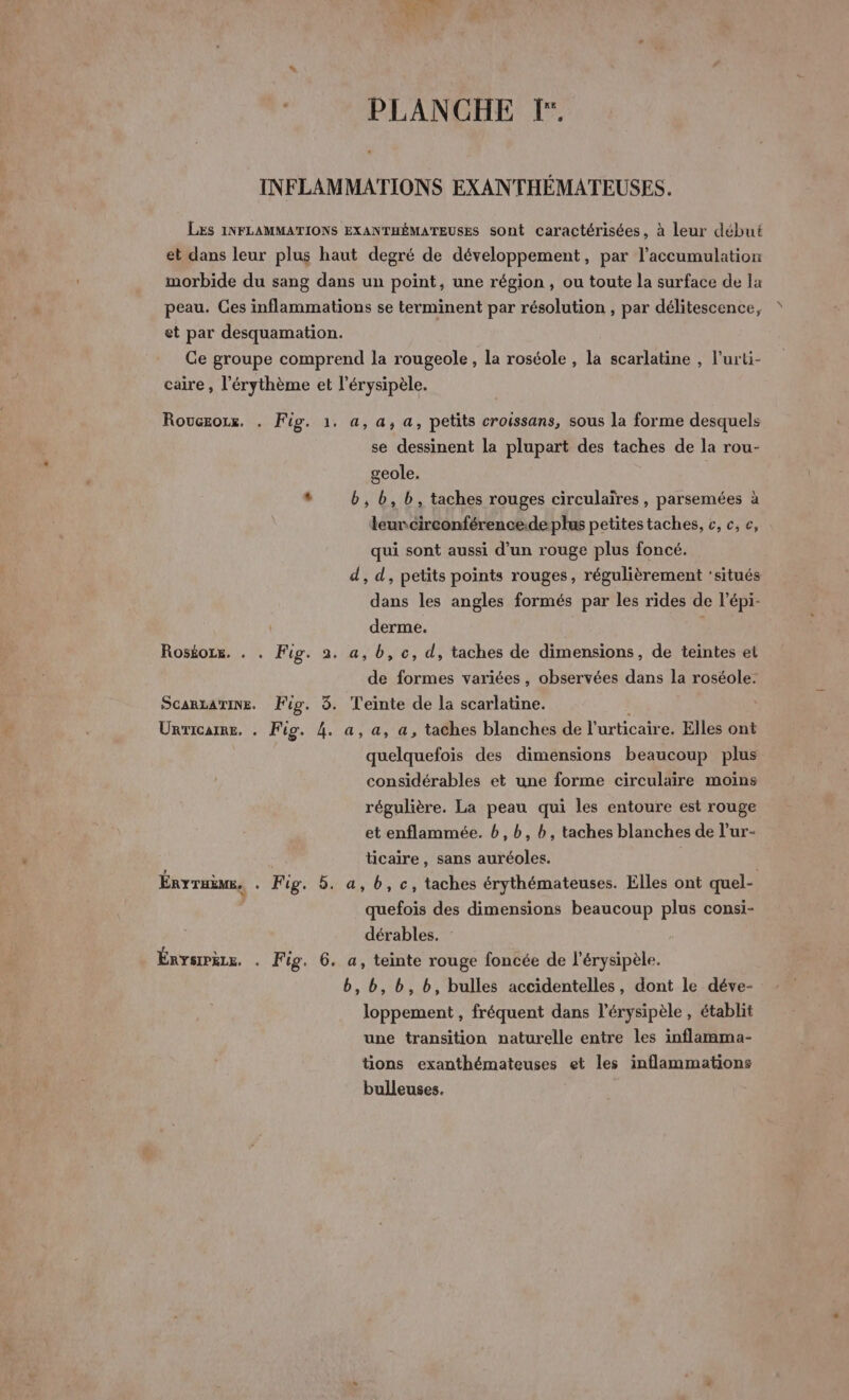 LÉ L PLANCHE T°, INFLAMMATIONS EXANTHÉMATEUSES. LES INFLAMMATIONS EXANTHÉMATEUSES sont caractérisées, à leur début et dans leur plus haut degré de développement, par l'accumulation morbide du sang dans un point, une région, ou toute la surface de la peau. Ces inflammations se terminent par résolution , par délitescence, et par desquamation. Ce groupe comprend la rougeole, la roséole , la scarlatine , l’urti- caire, l’érythème et l’érysipèle. Roucroix. . Fig. 1. a, a, a, petits croissans, sous la forme desquels se dessinent la plupart des taches de la rou- geole. $ b,b, b, taches rouges circulaïres, parsemées à leuncirconférence.deplus petites taches, c, c, €, qui sont aussi d’un rouge plus foncé. d, d, petits points rouges, régulièrement ‘situés dans les angles formés par les rides de l’épi- derme. | Roséozx. . . Fig. 2. a, b, c, d, taches de dimensions, de teintes et de formes variées, observées dans la roséole. SGARLATINE. Fig. 5. Teinte de la scarlatine. | Unricarme. . Fig. 4. a, a, a, taches blanches de l'urticaire. Elles ont quelquefois des dimensions beaucoup plus considérables et une forme circulaire moïns régulière. La peau qui les entoure est rouge et enflammée. b,b, b, taches blanches de l’ur- ticaire , sans auréoles. Énrraème, . Fig. 5. a, b, c, taches érythémateuses. Elles ont quel- quefois des dimensions beaucoup plus consi- dérables. Énysrrèis. . F ig. 6. a, teinte rouge foncée de l'érysipèle. b,b,b,b, bulles accidentelles, dont le déve- loppement , fréquent dans l’érysipèle, établit une transition naturelle entre les inflamma- tions exanthémateuses et les inflammations bulleuses.