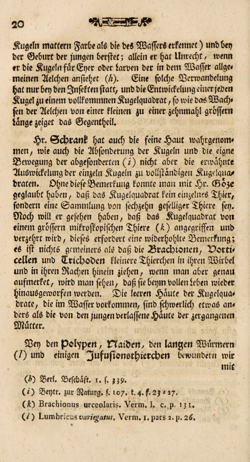 Äugeln modern gatbe aU bie be$ ©affer$ etfennet) unb bei) bet ©eburt bet jungen Serffet; allein et §at Unrecht, wenn ft bie Äugeln ftir ©jer obet iatben bet in bem ©affet aüge# meinen Ttelcfjen anfte^et (h). ©ne foldje 53erwanbelung $at nut 6et) ben 3nfef ten jf att, unb bie (Entwirf elung einet jeben Äugel $u einem bollfemmnen Äugelquabrat, fo wie ba£ ©ad)* fen bet Tleldjen bon einer f leinen ju einet $e£nma§l grojfern iangejeiget ba6 ©egent^eil, S$v. ©eferant §at aud) bie feine Qaut wa^rgenom* men, wie and) bie 2l6fonberung bet Äugeln unb bte eigne Bewegung bet abgefonberten (i) nid)t aber bie erwähnte 3lu$wirfelung bet einzeln Äugeln $u boßffanbigen Äugelquay braten* SfcnebiefeSBemerfung fonnte man mit Jpt. (ßc>3e geglaubt §aben, ba§ baö Äugelquabrat fein einzelnes £f)ier, fonbetn eine ©ammfung bon fecf)$e§n gefeüiger Spiere feij. 9?od; will et gefe&en Reiben, baf? baS Äugelquabrat bont einem grojfern mifro jlropifcfjen (k) angegriffen unb betört wirb, biefe$ etforbett eine wtber£ol)lte Semerfung; tt iff nid)tb gemeiner^ ati baf$ bie 25tacbtonen, Dom* celleit unb IricboÖcn ffeinere 5$erd;en in if)tcn ©trbel unb in i^ren 5tad;en hinein $iefjen, wenn man aber genau aufmerfet, wirb man feigen, bafj jte bepm boüen leben tviebet IfcmauSgeworfen werben. ®ie leeren Staute bet Äugelqua# brate, bie im ©affet borfommen, ftnb fd;wetlid; etwas an* berg als bie bon ben jungen berlaffene Jpäute bet ^ergangenen •Blätter. S5ej) ben Polypen, rTat&en, ben langen ©urmern (/) unb einigen 'JufuflomtfykKchttt bewimbmi wie mit (ß) S$erf* S3ef(t5ff, i» f. $39» (O 53es)tr. jur Sftaturg* f* 107. t4*f.2j * 17* (&) Bracbionus urceolaris* Verm* c^p. 131. (/ ) Lumbricus vavitgam♦ Verm» i# pars 2. p. 26.