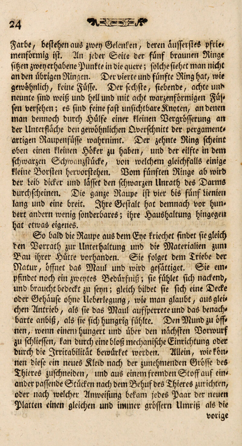 garte/ 6ejfehen auß $wep ©elenfert, beren attfferfkß pftie* trtenfbrmig tft. 21n jeber ©eite bet: fünf braunen Stinge ft|en $wep erhabene fünfte in bie quere; folcfje fielet man ntc^C an ben öbrigen Stingen. ®er Pierte unb fünfte Sting haf wie gewöhnlich, feine güffe. ®er jedjjle, ftebenbe, achte unb neunte finb weif; unb §eü unb mit acf)t warzenförmigen güf fen bergen; eß finb feinefajfunfid;tbare Änoten, anbeneti man bennoef) burc^ Jjiülfe einer deinen Sßergrofferung ait ber Untetfa^e ben gewbhnfic^en Dwerfchnitt ber pergament* artigen Staupenfüffe wahrnimf. S)er zehnte Sting fd)emC oben einen deinen $ofet $u §aben; unb ber eüfte in bem fdjwarzen @cJ)wanjfftStfe, Pon meinem gletdjfallß einige deine SBorjlen herPorftehen, 33om fünften Stinge ab wirb ber leib biefer unb laffet ben fdjmat^en Unrath beß !3Darmg burd;fd;ctnen. 3)ie ganze Staupe ijt hier biß fünf lienieu lang unb eine breit, 3(jre ©efralt hat bcmnach bor hum bert anbern wenig fonberbareß; ihre ^auß^altung hingegen hat etwaß eigeneß. @o halb bie Staupe außbem ©pe f riechet ftnbet fte gleich ben ©orrath jur Unterhaltung unb bie SJiaterialien 511m 2*au i^rer jjbütce Porhanben. @ie folget bem Triebe ber Statur, öffnet baß SJtaul unb wirb gefattiget. @ie etm pftnbet noch ein jwepfeß ©ebürfmj?; fte fielet ftcf> ttatfenb, unb braucht bebeeft zu fepn; gleich hübet fte fid; eine ©eefe ober ©e^aufe ohne Ueberlegung, wie man glaubt, außglei* ü)m Antrieb, alß fte baß SJtaul auffperreteunb baß benadf barte anbi$, alß fte ftd; hungrig fühlte. JDenSJlunb $u off neu, wenn einem hungert unb über ben nadjften Sßorwurf $u fdjlieffen, Fan burcf)eineblo^med;anifd)e©nrid)fung ober burd) bie 3rritabilitat bemürfef werben. Tttlein, wiefom nen biefe ein neueß Äletb nach ber junehmenben ©rbffe beß Shiereß jufchneibett, tmb auß einem fremben @t off auf eim anber paffenbe ©tüden ttad) bem Sehuf beß 2:h^t*eß zurichten, ober nach welcher ^(nweifung befam jebeß ^aar ber neuen glatten einen gleichen unb immer groffern llmrifi alß bie Porige