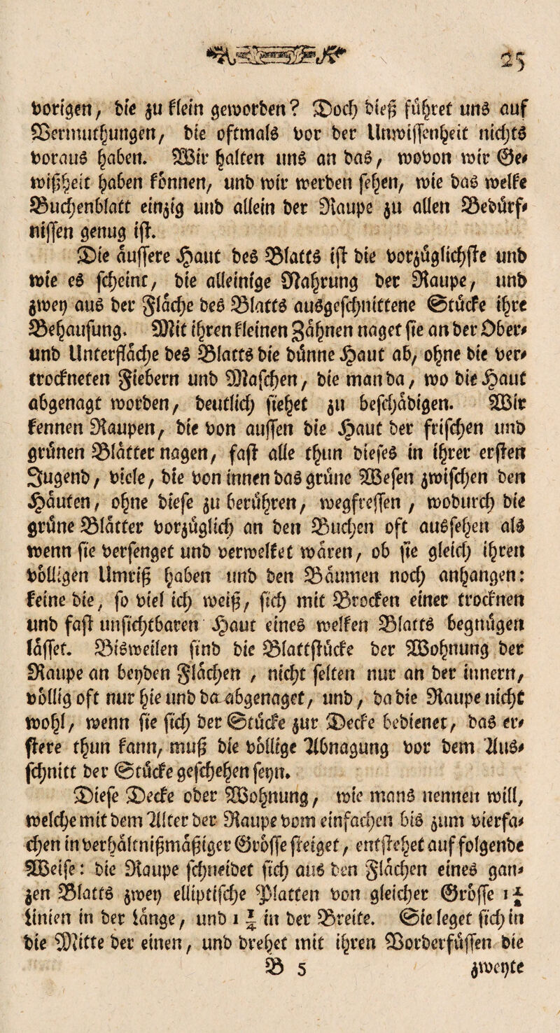 15 Porigen, bie ju Flein geworben? ®od; biefs führet ung auf Sßermutßungen, bte ofttnalg Por ber Utuoiffenljeit nid;fg Poraug £aben. SBit Ralfen ung anbag, vooPon VDtr ®e# mfäeit fyaben fbnnen, unb votr werben fef;en, wie bag welFe Sudjenblatt einzig unb allein bet Staupe ju allen Sebürf# uiffen genug ijh ®ie auffere $aut beg Slaftg ift bie Pot$üglitf)f?e unb tt>ie eg fdjeinr, bie alleinige Sprung ber Staupe, unb gtoep aug ber glacfye beg SMatfg auggefd;nittene ©tücFe i§te Se^aufung. SDiit i^ren kleinen gähnen naget fte an ber Ober# unb Untetffacfje beg Slatfgbie btJnne^)aut ab, o^ne bie Per# trocFnefen fiebern unb 33?afd)en, bie manba, wo bie ^>auC abgenagt worben, beutlicf; fielet 511 befd;abigen. SBir Fennen Staupen, bie oon auffen bie Jpaut ber frifcf>cn unb grünen Slatfet nagen, faß alle t£un biefeg in t£ret erffen Sugenb, Piele, bte Pen innen bag grüne SBefen 5tpifd;en ben Raufen, o£ne biefe 51t berühren, wegfrejfen , woburd) bie grüne Slatfer Porjüglid) an ben 33ud;en oft augfef;en alg toenn (te Perfenget unb oerwelfet waren, ob (te gleid; i^ren Poüigen Umtig l;aben unb ben Säumen nod; an^angen: Feine bie / fo Ptel id; weip, ftd) mit SrocFen einer trocFnen unb faß unftdtfbaren Jpaut eineg weifen Slatfg begnügen fafjet. Sigweilen ftnb bie Slaftßüde ber Söo^nung ber Staupe an bepben glasen , nic^t feiten nur an ber iunern, pblligoft nur^ieunbbaiabgenaget, unb, babie Staupenid)£ wo£l, wenn fic ftd; ber ©tücfe $ur ®ecfe bebienet, bag er# ßere tfym fann, mu£ bie Pollfgc Tibnagung Por bem ’Zlug# fd;nttt ber ©tücfe gefdje^enfepn* ®iefe SDecFe ober Söo^nung, tote mang nennen will, welche mit bem?üter ber Staupe Pom einfad;en big 511m Pierfa# cf;en in Perbaltnifjmaßiger ©roffe ßeigef, ent ße^ef auf folgenbe fBeife: bie Staupe fcfjnribet ftd; aug ben glasen eineg gan* $en Slatfg $wet) eUiptifdje ^Matten Pon gleicher ©roffe 1J iinien in ber lange, unb 1 \ in bet Steife, ©ie leget ftd;in bie S)iitte ber einen, unb bre^et mit t^ren SSorberfüflen bie