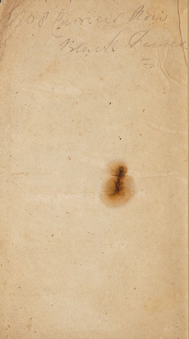 digitised image 2