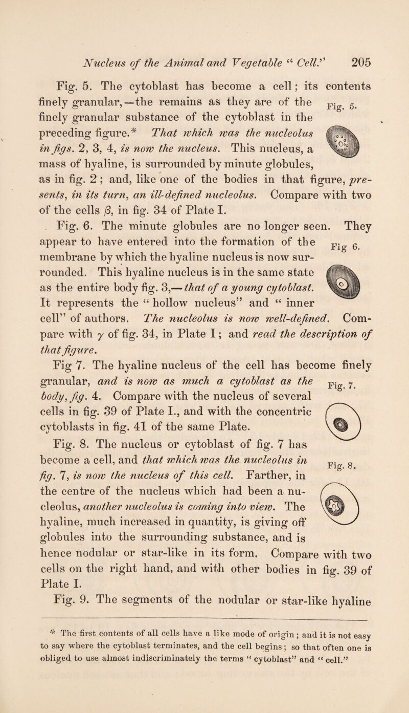 Fig. 5. The cytoblast has become a cell; its contents finely granular,—the remains as they are of the Fig finely granular substance of the cytoblast in the preceding figure.* That which was the nucleolus in figs. 2, 3, 4, is now the nucleus. This nucleus, a mass of hyaline, is surrounded by minute globules, as in fig. 2; and, like one of the bodies in that figure, pre¬ sents, in its turn, an ill-defined nucleolus. Compare with two of the cells (3, in fig. 34 of Plate I. . Fig. 6. The minute globules are no longer seen. They appear to have entered into the formation of the Fig 6 membrane by which the hyaline nucleus is now sur¬ rounded. This hyaline nucleus is in the same state as the entire body fig. 3,— that of a young cytoblast. It represents the “ hollow nucleus” and “ inner cell” of authors. The nucleolus is now well-defined. Com¬ pare with y of fig. 34, in Plate I; and read the description of that figure. Fig 7. The hyaline nucleus of the cell has become finely granular, and is now as much a cytoblast as the Fig ^ body, fig. 4. Compare with the nucleus of several cells in fig. 39 of Plate I., and with the concentric cytoblasts in fig. 41 of the same Plate. Fig. 8. The nucleus or cytoblast of fig. 7 has become a cell, and that which was the nucleolus in fig. 7, is no?v the nucleus of this cell. Farther, in the centre of the nucleus which had been a nu¬ cleolus, another nucleolus is coming into view. The hyaline, much increased in quantity, is giving off globules into the surrounding substance, and is hence nodular or star-like in its form. Compare with two cells on the right hand, and with other bodies in fig. 39 of Plate I. Fig. 9. The segments of the nodular or star-like hyaline * The first contents of all cells have a like mode of origin ; and it is not easy to say where the cytoblast terminates, and the cell begins; so that often one is obliged to use almost indiscriminately the terms “ cytoblast” and “ cell.”