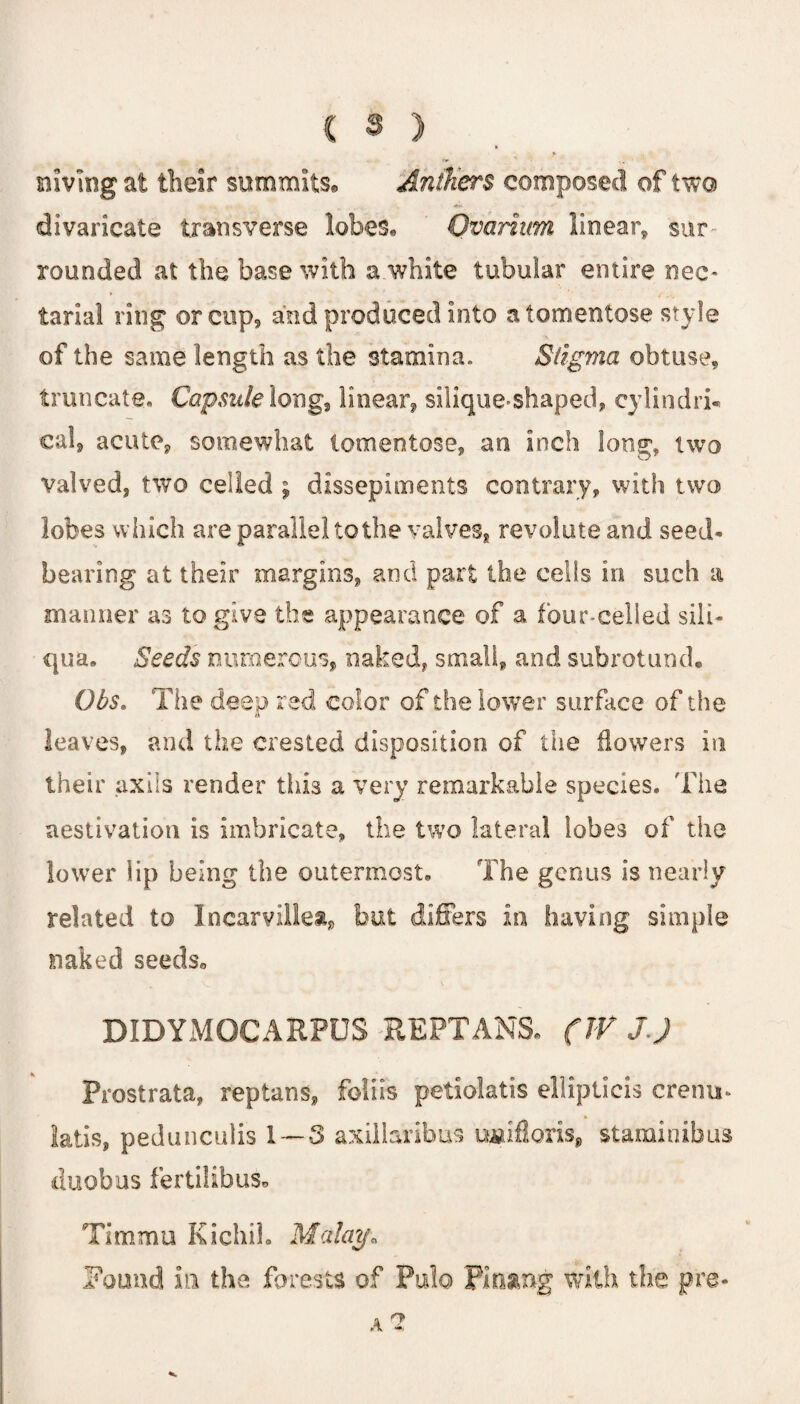 nivmg at their summits® Anthers composed of two divaricate transverse lobes® Ovarium linear* sur¬ rounded at the base with a white tubular entire nec- tarial ring orctip9 and produced into atomentose style of the same length as the stamina. Stigma obtuse, truncate. Capsule long, linear* silique-shaped, cylindri* cal* acute* somewhat tomentose, an inch long* two Valved, two celled ; dissepiments contrary* with two lobes which are parallel to the valves* revolute and seed- bearing at their margins* and part the cells in such a manner as to give the appearance of a four-celled sili- qua. Seeds numerous* naked, small* and subrotund. Ohs. The deep red color of the lower surface of the leaves* and the crested disposition of the flowers in their axils render tins a very remarkable species. The aestivation is imbricate, the two lateral lobes of the lower lip being the outermost. The genus is nearly related to I nearvillen* but differs in having simple naked seeds® DIDYMOCARPOS REPTANS. (TV JJ Prostrata, replans* folds petiolatis ellipticis crenu* latis* pedunculis 1 — 3 axillaribus twifloris* staminibus duobus fertilibus® Timmu Kichil. Malay„ Pound in the forests of Pulo Finang with the pre- A?