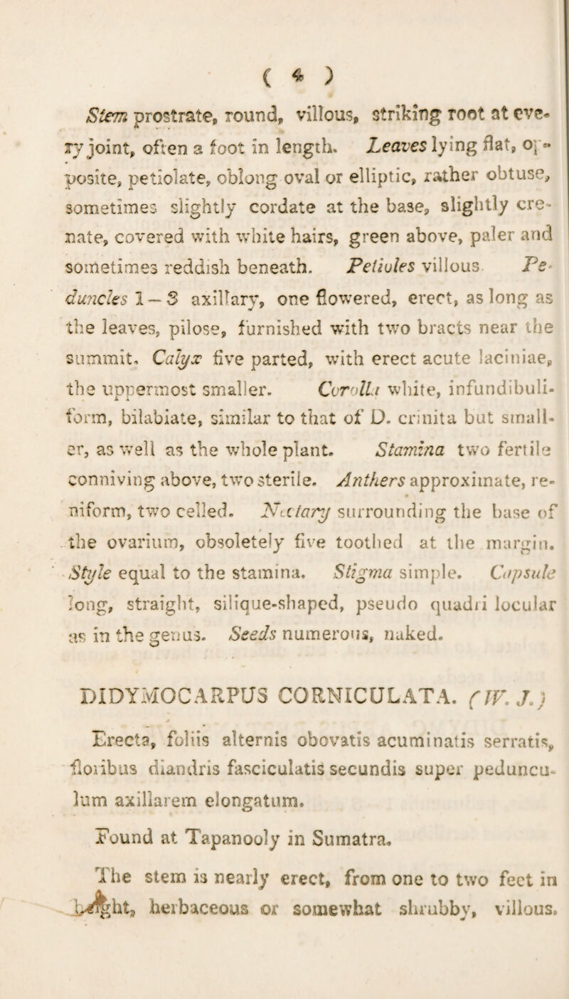 Stem prostrate, round, villous, striking root at eve* iy joint, often a foot in length. Leaves lying flat, op¬ posite, petiolate, oblong oval or elliptic, rather obtuse, sometimes slightly cordate at the base, slightly cre¬ mate, covered with white hairs, green above, paler and sometimes reddish beneath. Peliules villous Pe dancles X — 3 axillary, one flowered, erect, as Ion g as the leaves, pilose, furnished with two bracts near the summit. Calyx five parted, with erect acute lacunae, the uppermost smaller. Corolii white, infundibuli- form, bilabiate, similar to that of D. crinita but small¬ er, as well as the whole plant. Stamina two fertile conniving above, two sterile. Anthers approximate, re- inform, two celled. Nutary surrounding the base of the ovarium, obsoletely five toothed at the margin. Style equal to the stamina. Stigma simple. Capsule long, straight, silique-shaped, pseudo quadii locular as in the germs. Seeds numerous, naked. DXDYMOCARPUS CORNXCULATA. (IV. J.) Erecta, foliis alternis obovatis acuminatis serrati% floribus diandris fasciculatis secundis super peduncm lum axillarem elongatum. Pound at Tapanooly in Sumatra. The stem is nearly erect, from one to two feet in Jb^htj, herbaceous or somewhat shrubby, villous.