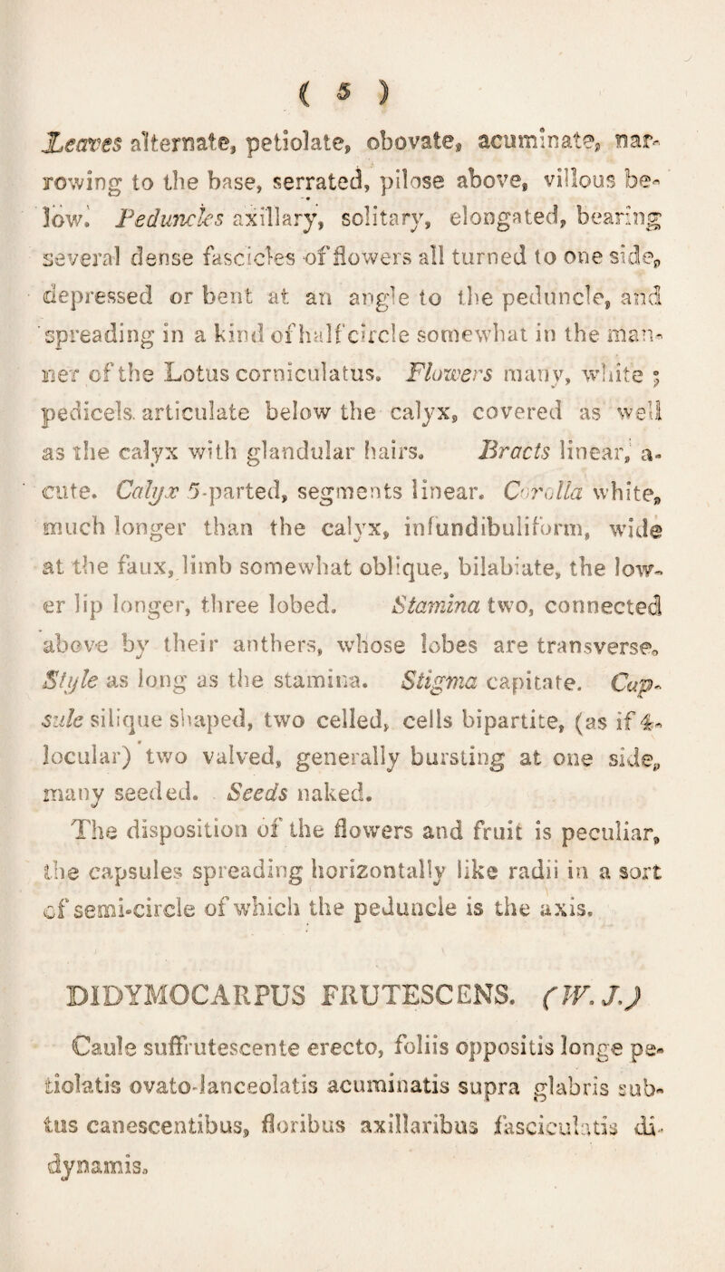 Leaves alternate, petiolate, obovaie* acuminate, nar¬ rowing to the base, serrated, pilose above, villous be- * • low. Peduncles axillary, solitary, elongated, bearing several dense fascicles of flowers all turned to one s\de9 depressed or bent at an angle to the peduncle, and spreading in a kind of half circle somewhat in the man¬ ner of the Lotus corniculatus. Flowers many, white 5 pedicels, articulate below the calyx, covered as well as the calyx with glandular hairs. Bracts linear, a- cute. Calyx 5-parted, segments linear. Corolla white, much longer than the calyx, infund ibuliform, wide at the faux, limb somewhat oblique, bilabiate, the low¬ er lip longer, three lobed, Stamina two, connected above by their anthers, whose lobes are transverse* Style as long as the stamina. Stigma capitate. Cap¬ sule silique shaped, two celled, ceils bipartite, (as if locular) two valved, generally bursting at one sideP many seeded. Seeds naked. The disposition of the flowers and fruit is peculiar, the capsules spreading horizontally like radii in a sort of semi-circle of which the peduncle is the axis, DIDYMOCARPUS FRUTESCENS. (W.J,) Caule suffrutescente erecto, folds oppositis longe pe» iiolatis ovatodanceolatis acuminatis supra glabris sub« lus canescentibus, floribus axillaribus fasciculatis db dynamise