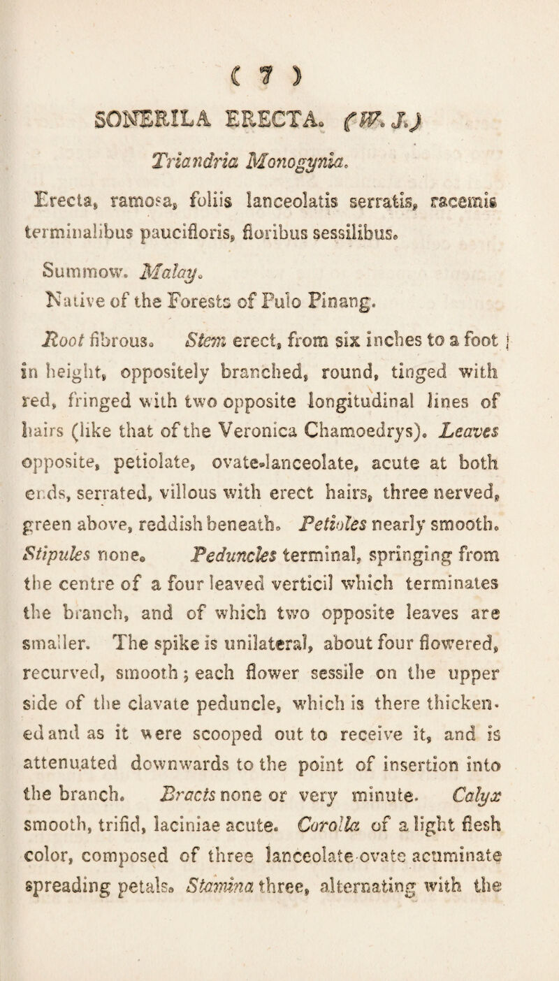 SONERILA ERECTAo Triandria Monogynia„ Erects, ramosa, foliis lanceolatis serratis, racemis terminalibus paucifloris, floribus sessilibus. Sum mow. Malaya Native of the Forests of Pulo Finang. Root fibrous. Stem erect, from six inches to a foot j in height, oppositely branched, round, tinged with red, fringed with two opposite longitudinal lines of hairs (like that of the Veronica Chamoedrys). Leaves opposite, petiolate, ovate*lanceolate, acute at both ends, serrated, villous with erect hairs, three nerved, green above, reddish beneatbo Petioles nearly smootho Stipules none® Peduncles terminal, springing from the centre of a four leaved verticil which terminates the branch, and of which two opposite leaves are smaller. The spike is unilateral, about four flowered, recurved, smooth; each flower sessile on the upper side of the clavate peduncle, which is there thicken¬ ed and as it v^ere scooped out to receive it, and is attenuated downwards to the point of insertion into the branch. Bracts none or very minute. Calyx smooth, trifid, laciniae acute. Corolla of a light flesh color, composed of three lanceolate-ovate acuminate spreading petals® Stamina three, alternating with the