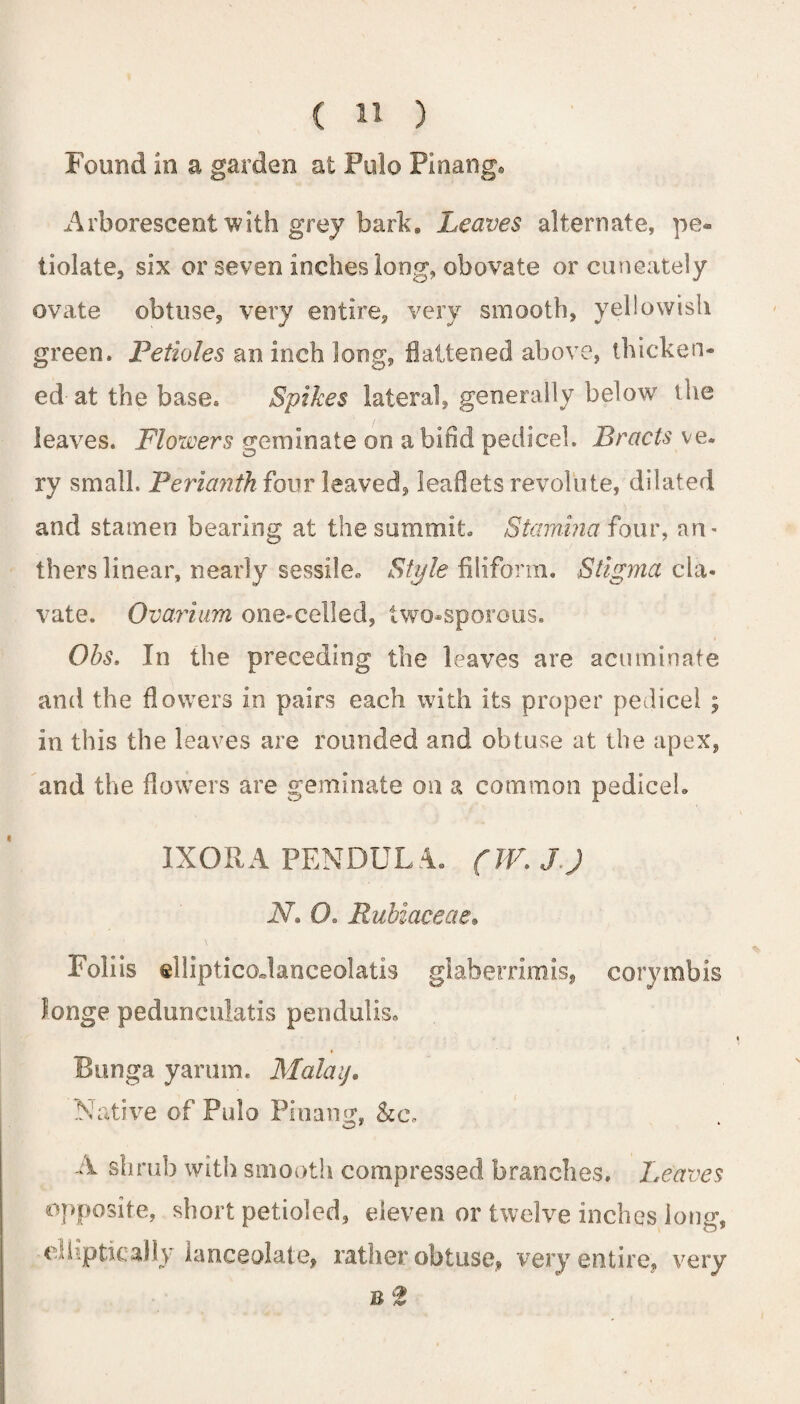 Found in a garden at Polo Pinang. Arborescent with grey bark. Leaves alternate, pe- iiolate, six or seven inches long, obovate or cuneately ovate obtuse, very entire, very smooth, yellowish green. Petioles an inch long, flattened above, thicken* ed at the base. Spikes lateral, generally below the leaves. Flowers geminate on a bifid pedicel. Bracts ve. ry small. Perianth four leaved, leaflets revolute, dilated and stamen bearing at the summit. Stamina four, an¬ thers linear, nearly sessile* Style filiform. Stigma cla- vate. Ovarium one-celled, two-sporous. Obs. In the preceding the leaves are acuminate and the flowers in pairs each with its proper pedicel ; in this the leaves are rounded and obtuse at the apex, and the flowers are geminate on a common pedicel. IXORA PENDULA. (W. J,J N» O. Rubiaceae• Foliis elliptico.lanceolatis glaberrimis, corymbis l.onge pedunculatis pendulis. Bunga yarum. Malay. Native of Pulo Pinang. &e, o * ‘ A shrub with smooth compressed branches. Leaves opposite, short petioled, eleven or twelve inches long, elliptic ally lanceolate, rather obtuse, very entire, very b 2