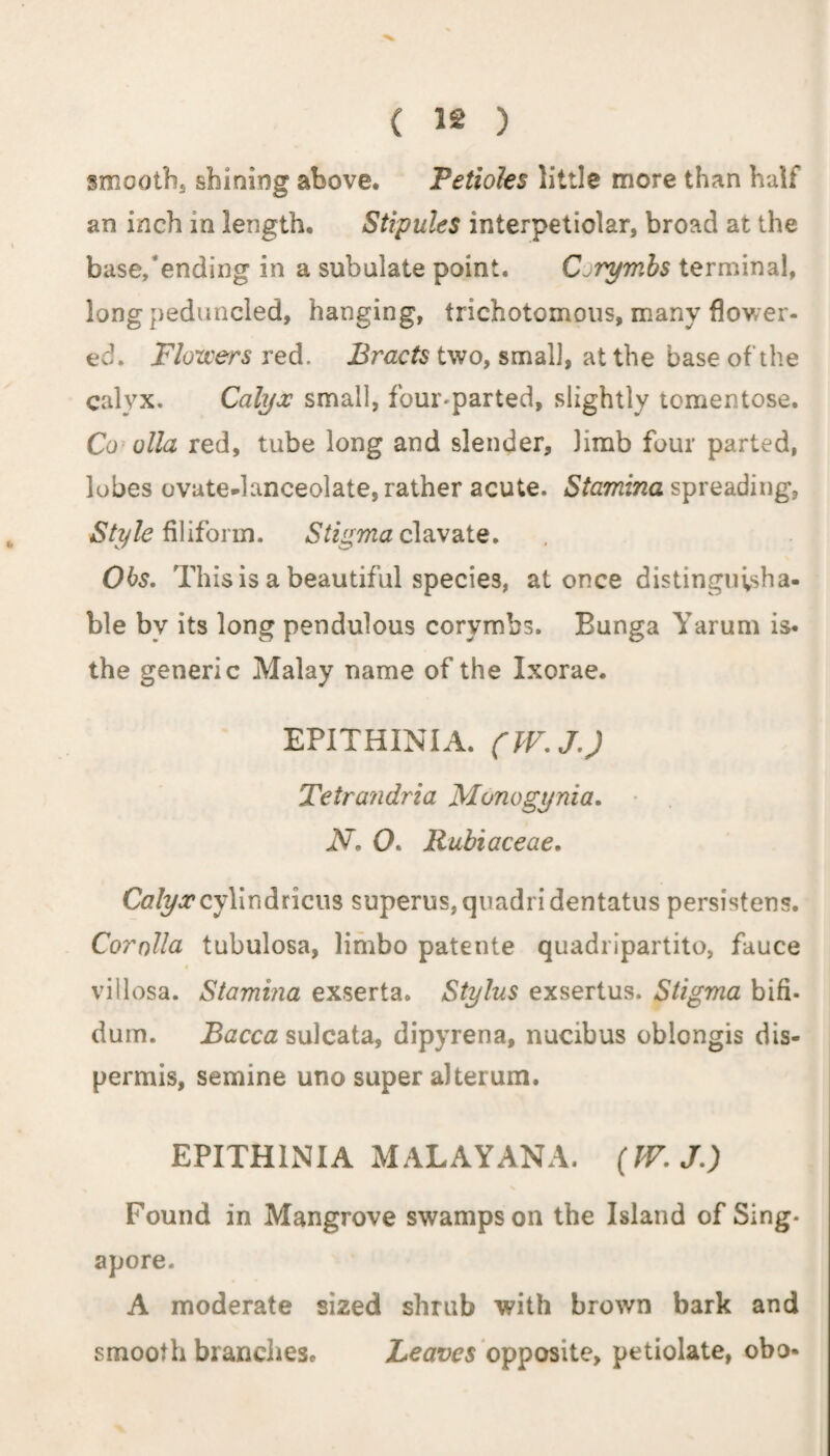 smootbs shining above. Petioles little more than half an inch in length. Stipules interpetiolar, broad at the base/ending in a subulate point. Corymbs terminal, long peduncled, hanging, trichotomous, many flower¬ ed. Flowers red. Bracts two, small, at the base of the calyx. Calyx small, four-parted, slightly tomentose. Co olla red, tube long and slender, limb four parted, lobes ovate-lanceolate, rather acute. Stamina spreading, Style filiform. Stigma clavate. Obs. This is a beautiful species, at once distinguisha- ble by its long pendulous corymbs. Bunga Yarum is. the generic Malay name of the Ixorae. EPITHINIA. (W.J.) Tetrandria Monogynia. N. CK Rubiaceae. Calyxcylindricus superus,qtiadridentatus persistens. Corolla tubulosa, limbo patente quadripartite, fauce villosa. Stamina exserta. Stylus exsertus. Stigma bifi- dum. Bacca sulcata, dipyrena, nucibus oblongis dis- permis, semine uno super alterum. EPITHINIA MALAYANA. (W.J.) Found in Mangrove swamps on the Island of Sing¬ apore. A moderate sized shrub with brown bark and smooth branchesc Leaves opposite, petiolate, obo-